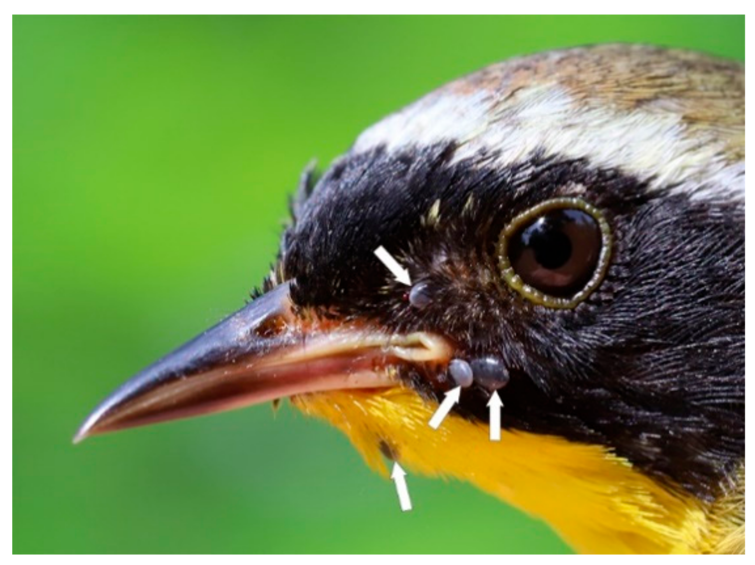 Healthcare 08 00059 g002