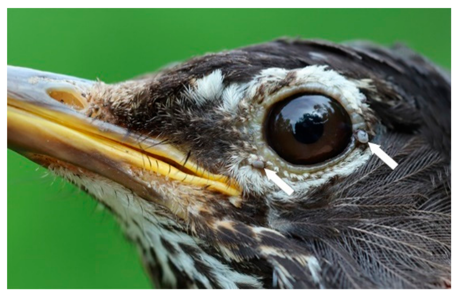 Healthcare 08 00059 g003