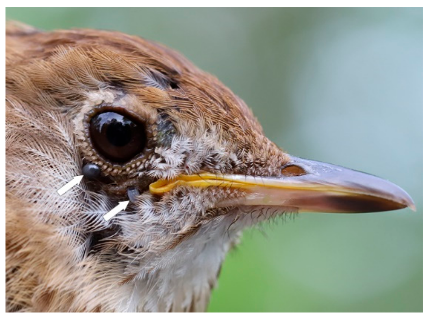 Healthcare 08 00059 g004