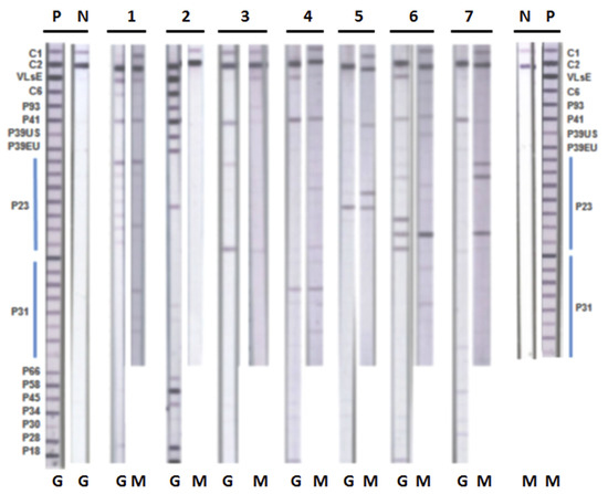 Healthcare 08 00097 g0a1
