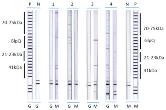 Healthcare 08 00097 g0a2