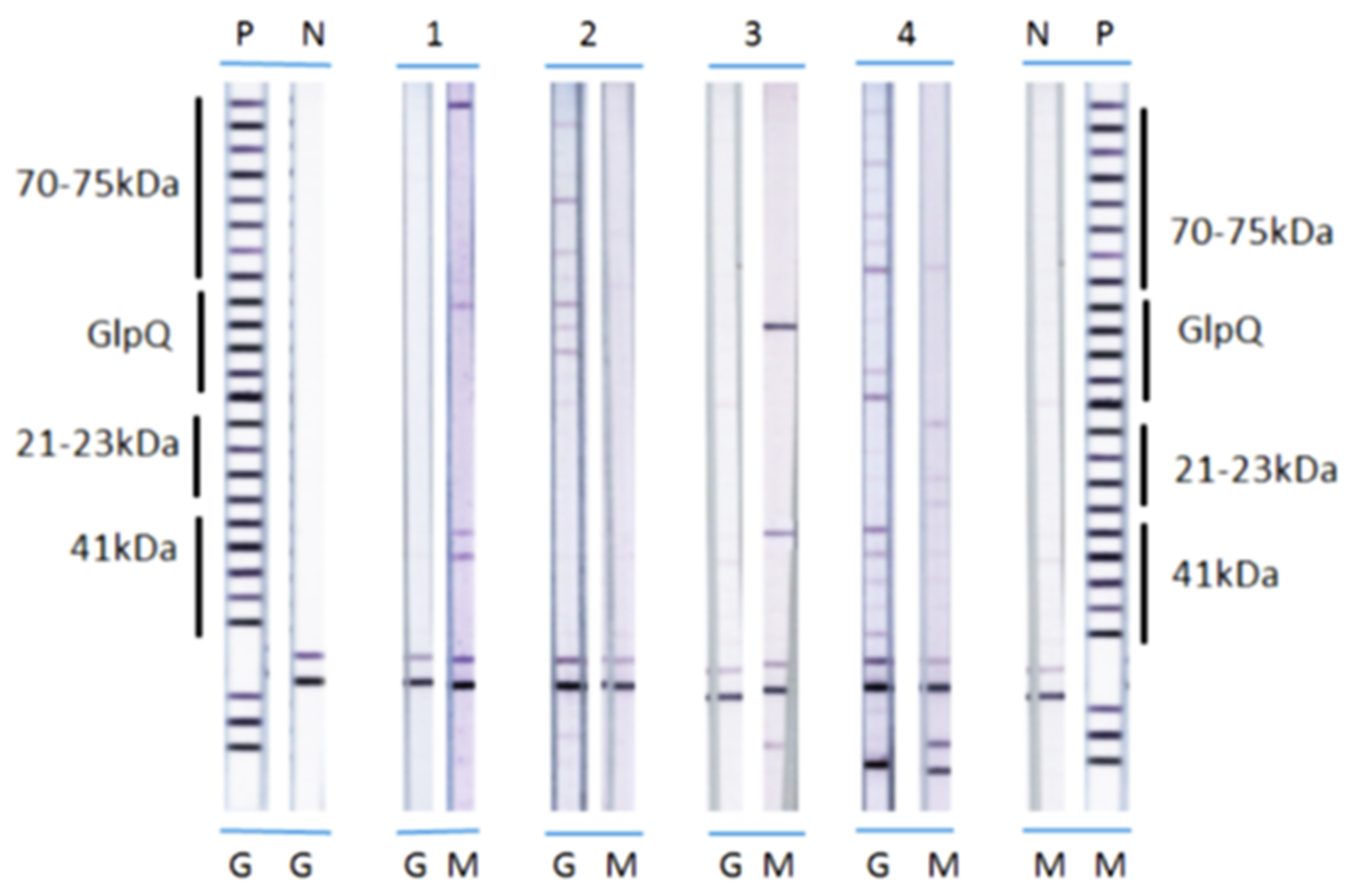 Healthcare 08 00097 g0a2