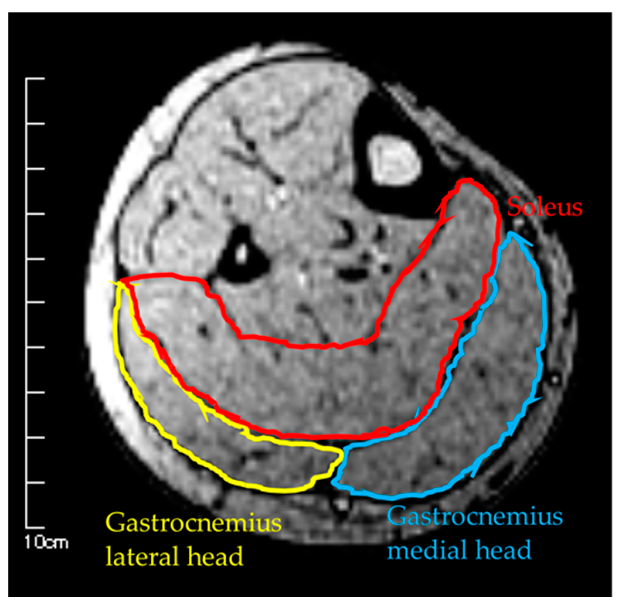 Healthcare 08 00166 g002