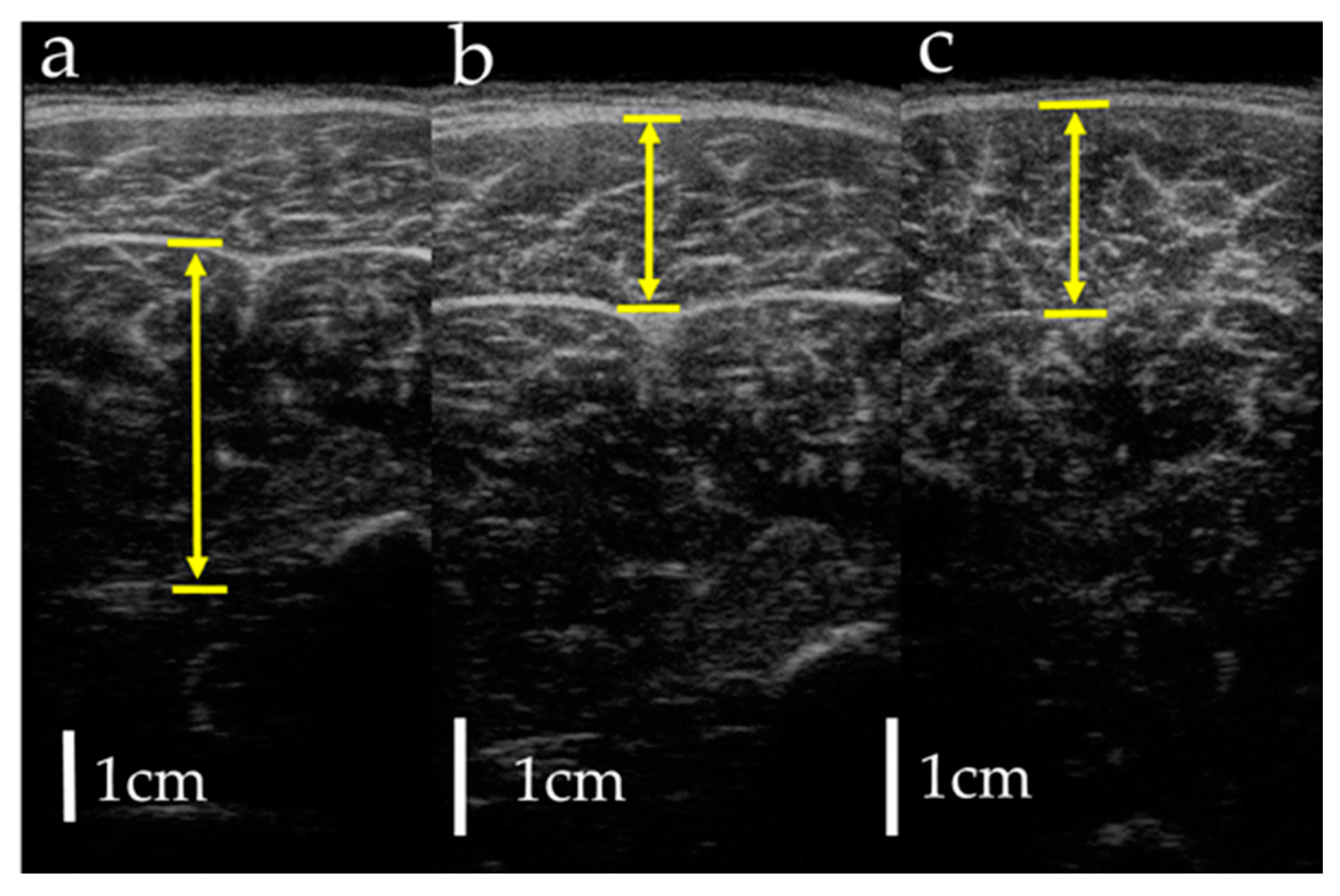 Healthcare 08 00166 g003