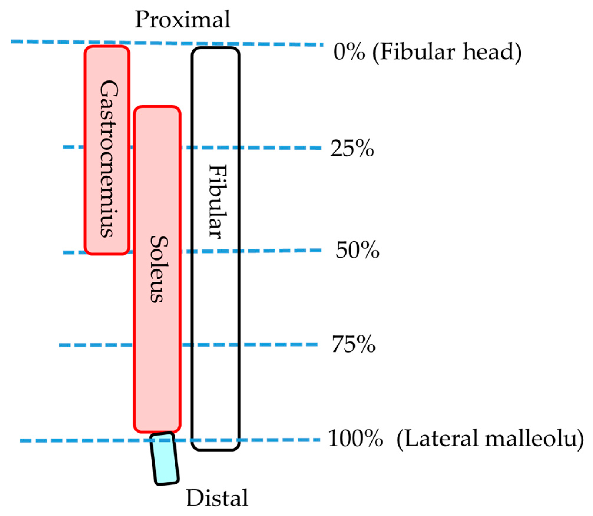 Healthcare 08 00166 g004