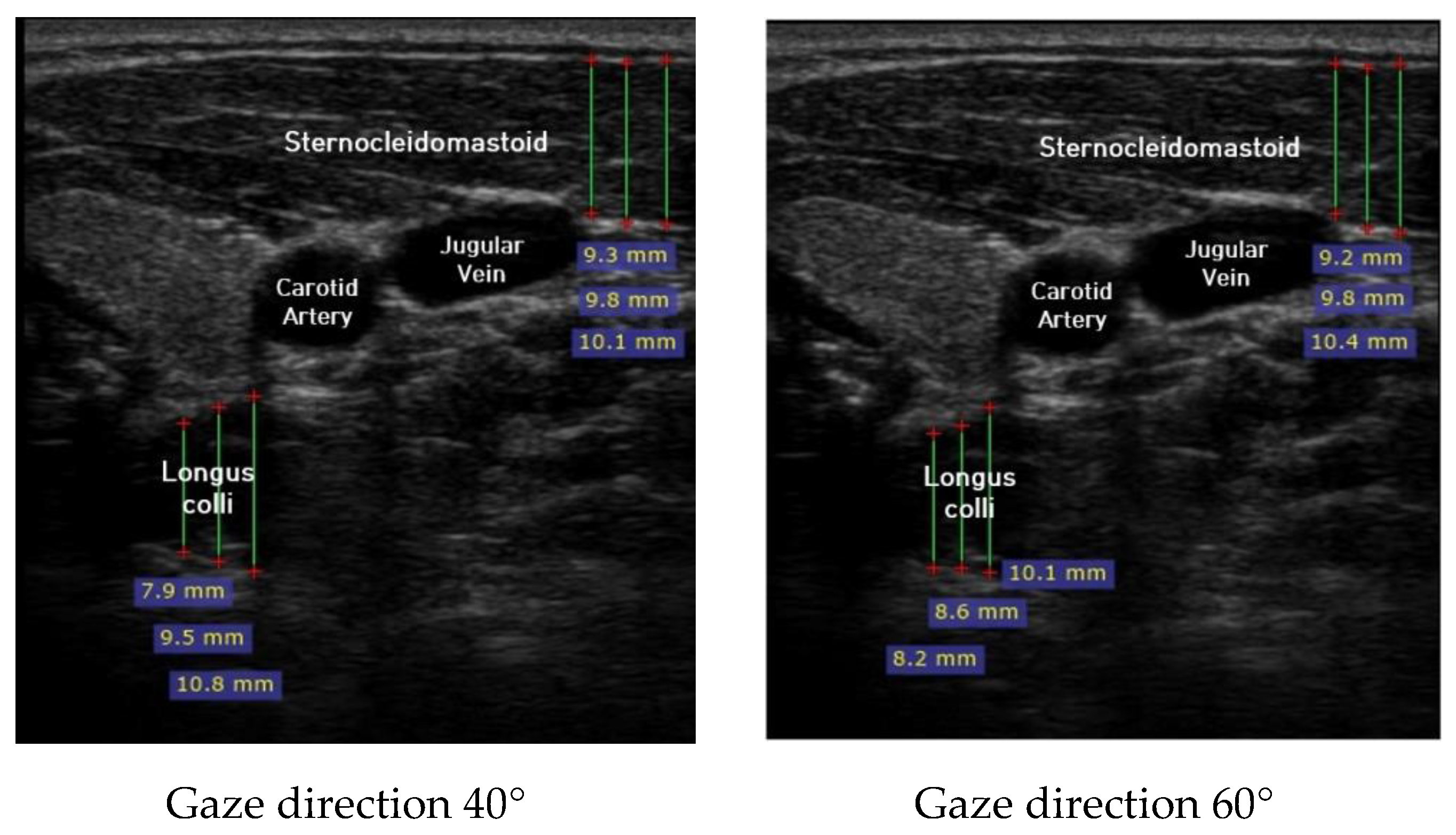 Healthcare 08 00449 g002b