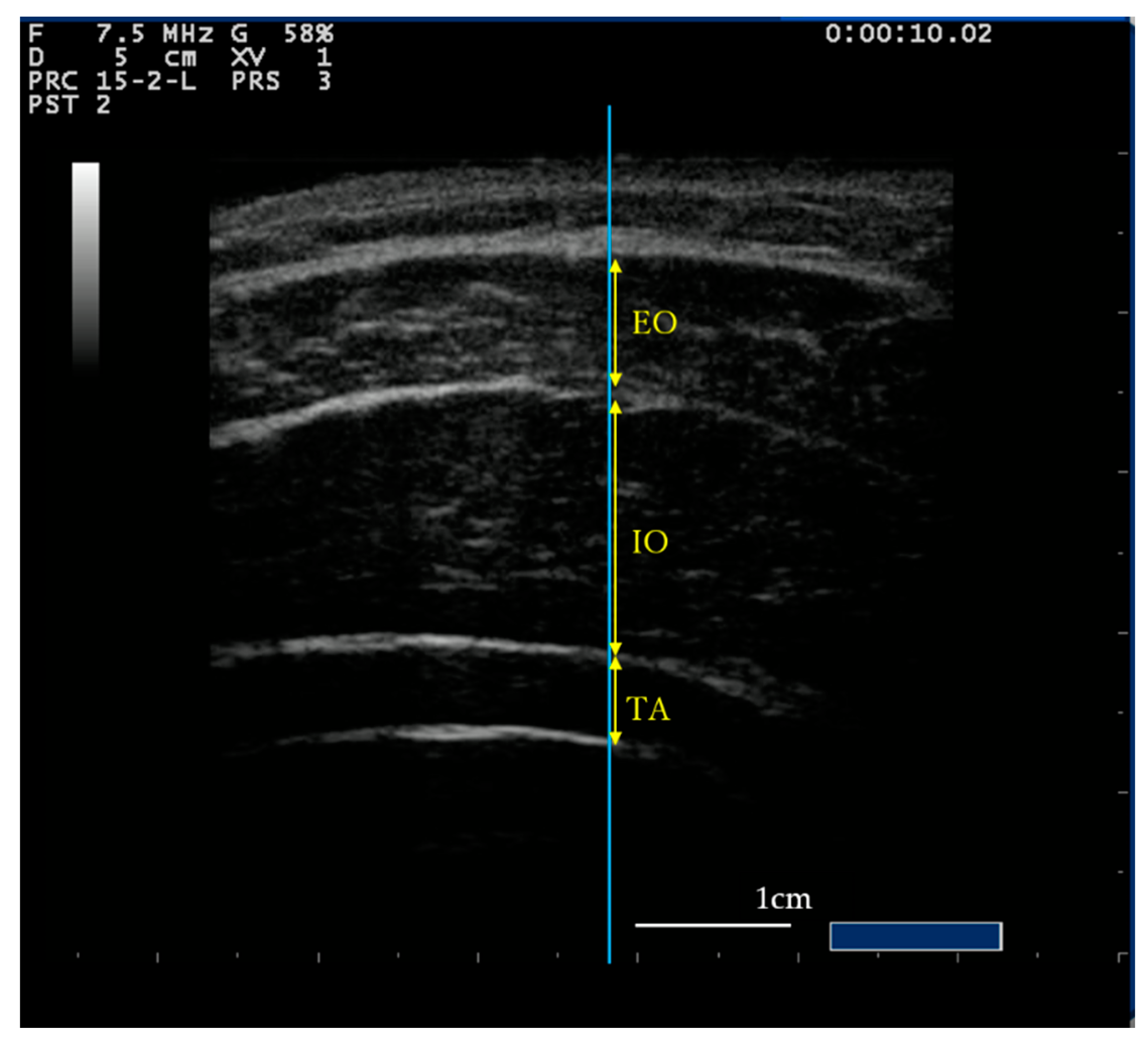 Healthcare 08 00496 g001