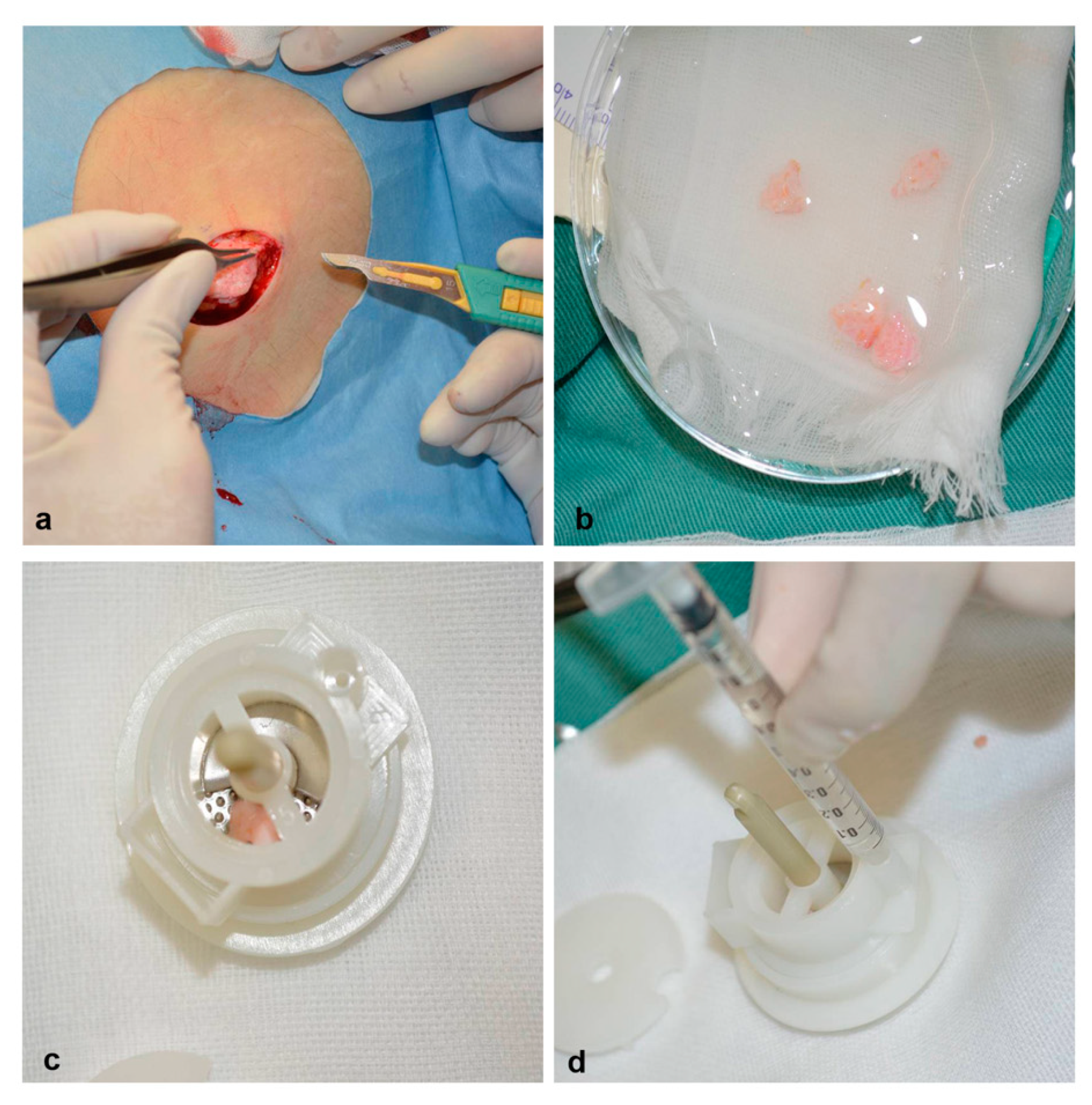 Healthcare 08 00513 g001