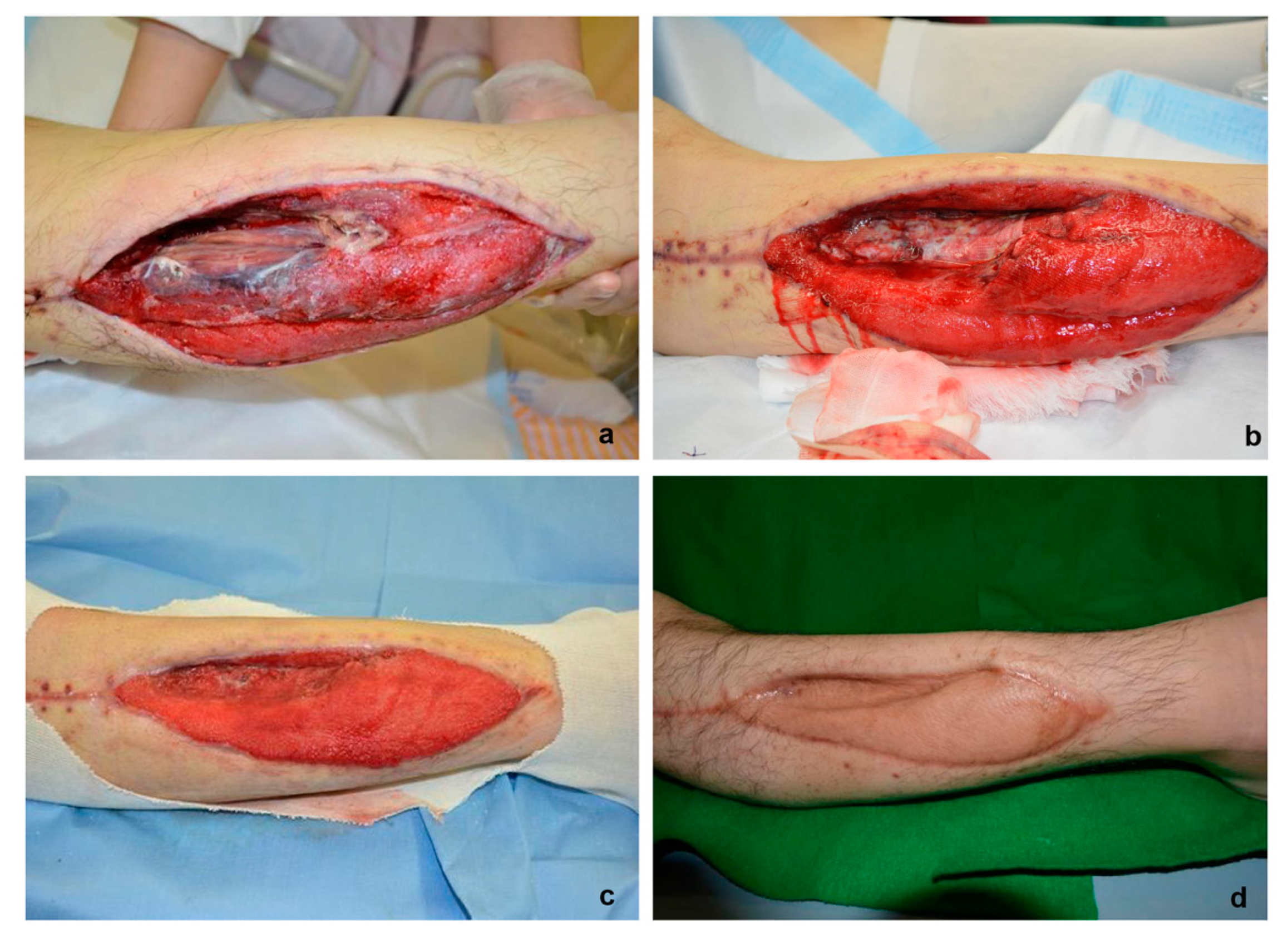 Healthcare 08 00513 g002