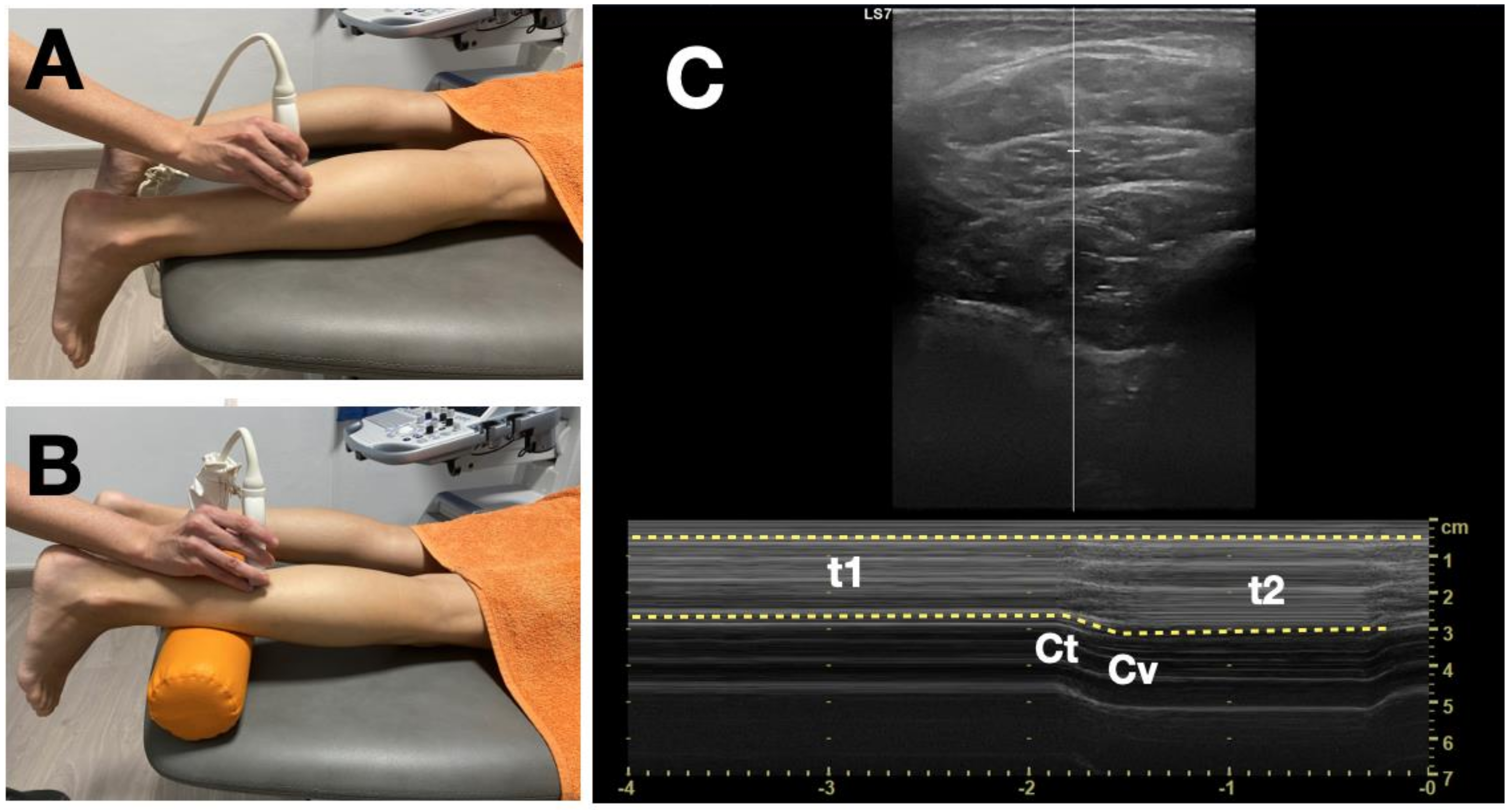 Healthcare 08 00555 g001