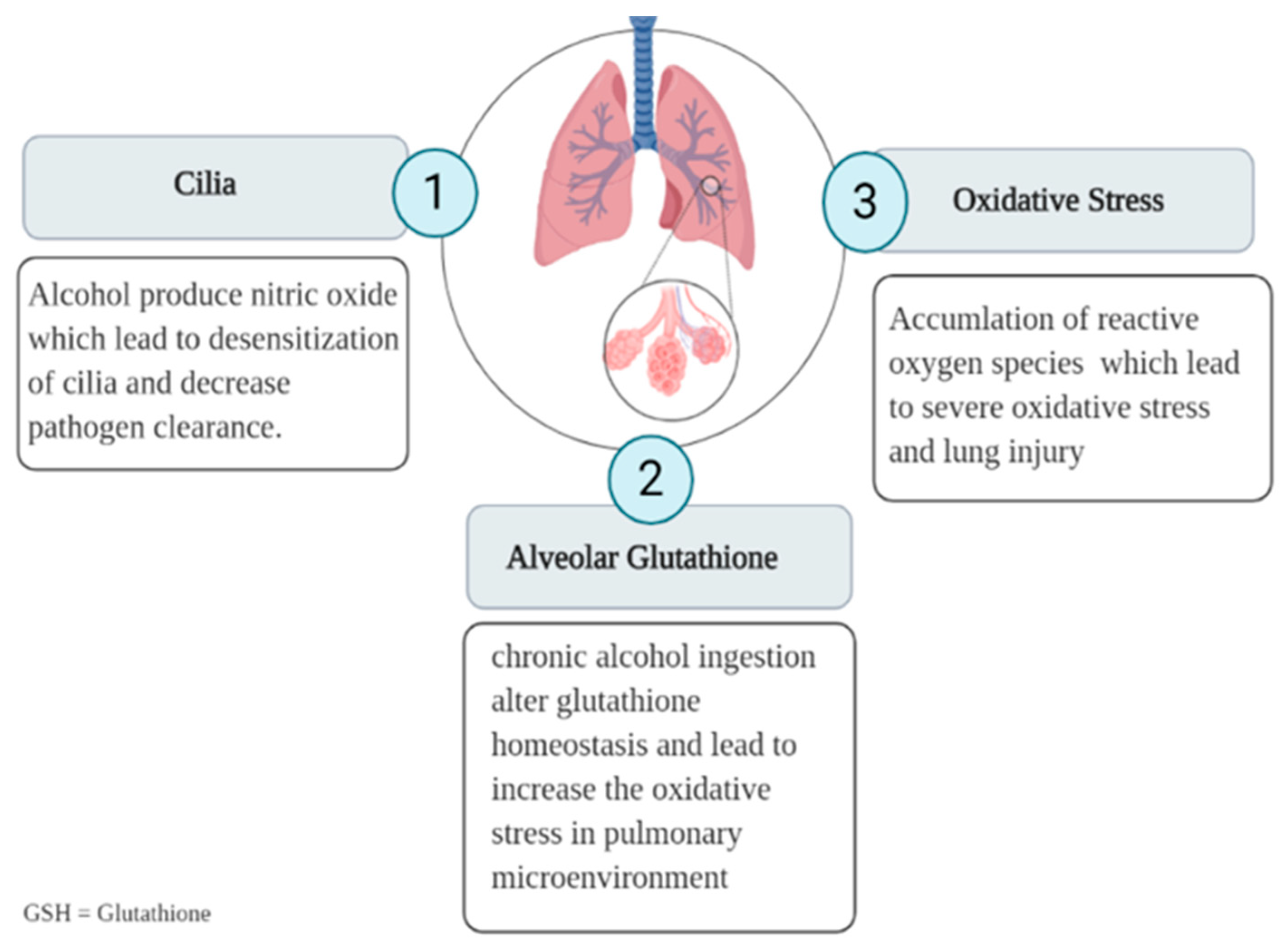 Healthcare 09 00002 g002