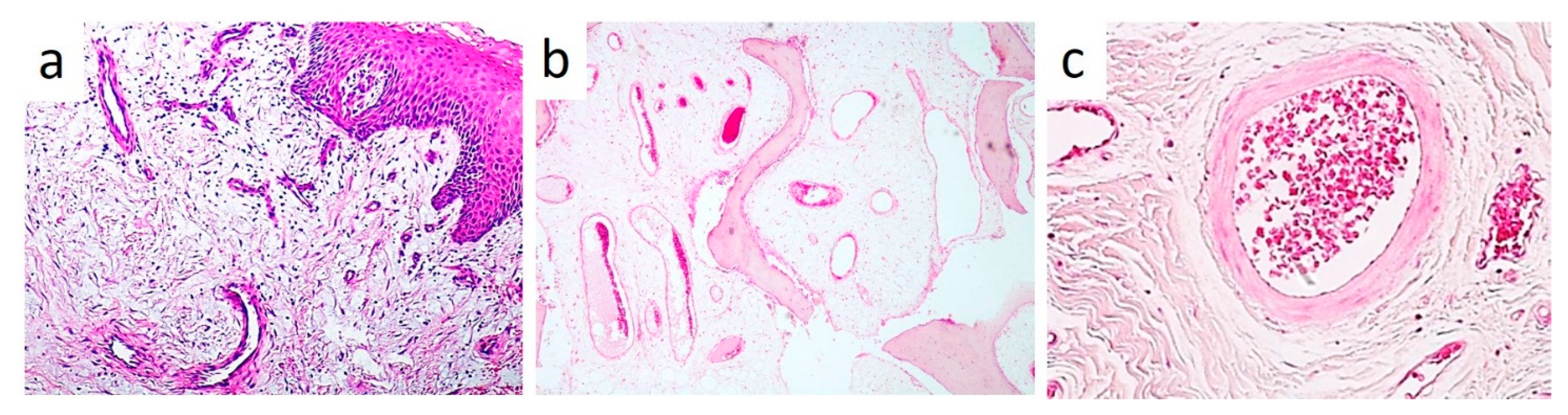 Healthcare 09 00033 g005