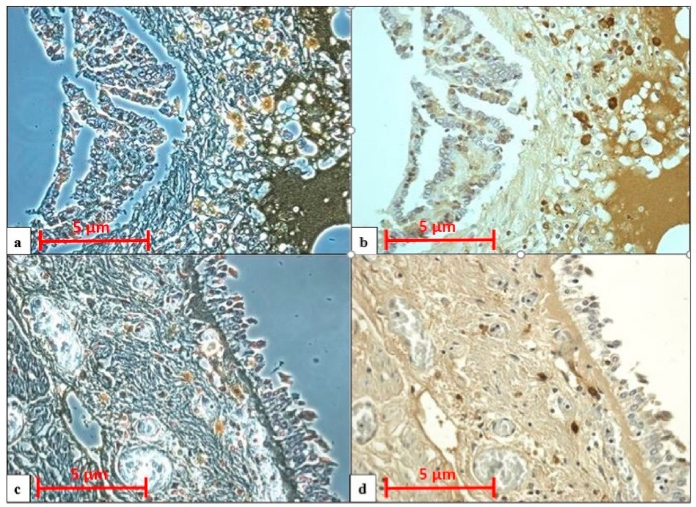 Healthcare 09 00117 g004