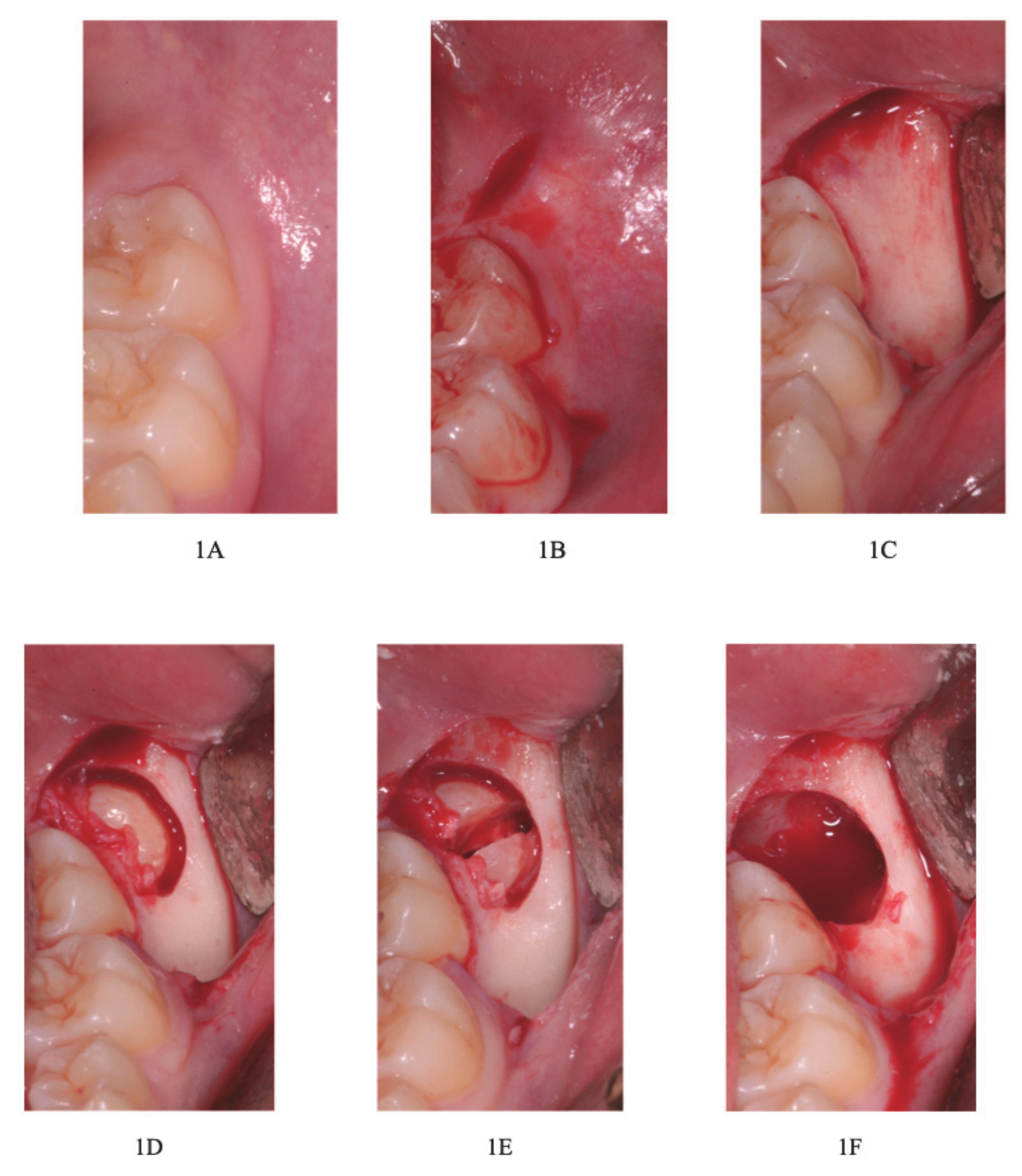 Healthcare 09 00121 g001a