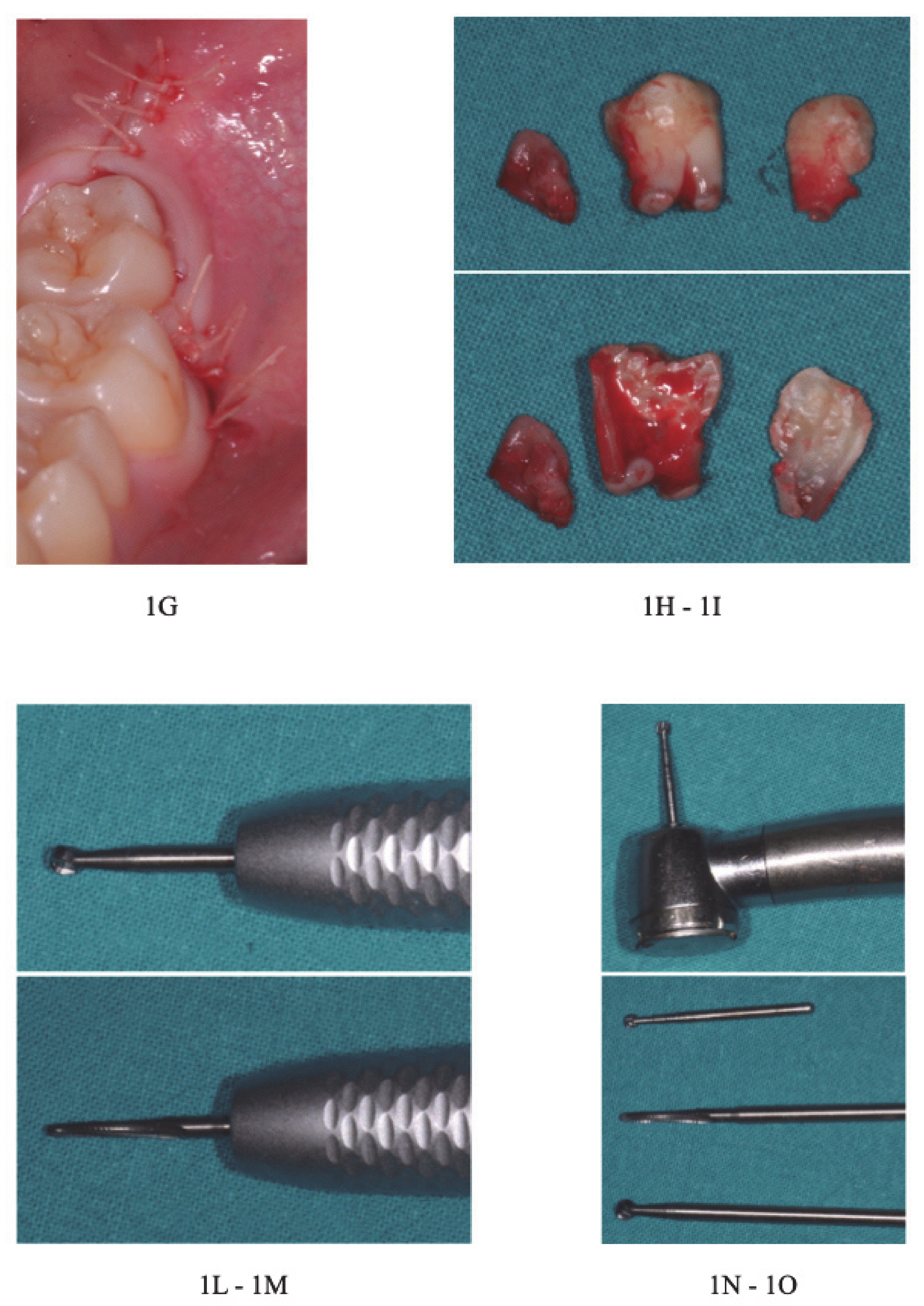 Healthcare 09 00121 g001b