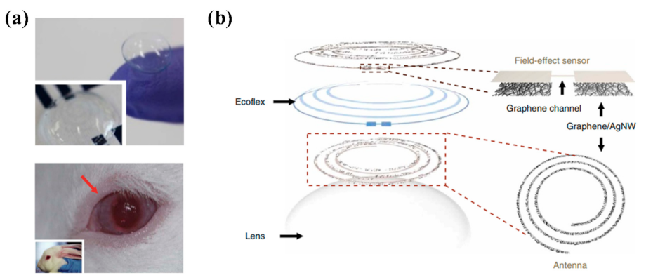 Healthcare 09 00128 g003