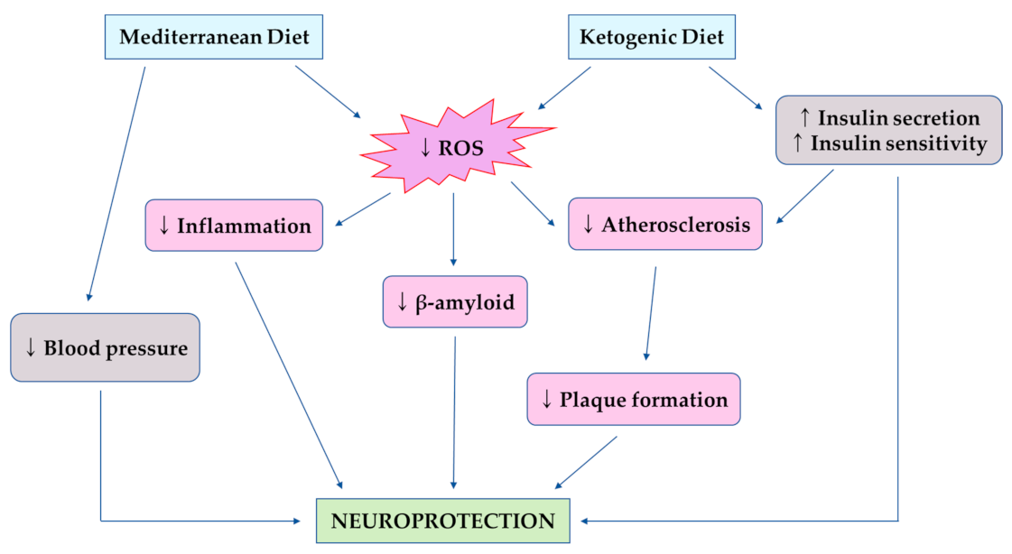 Healthcare 09 00128 g005