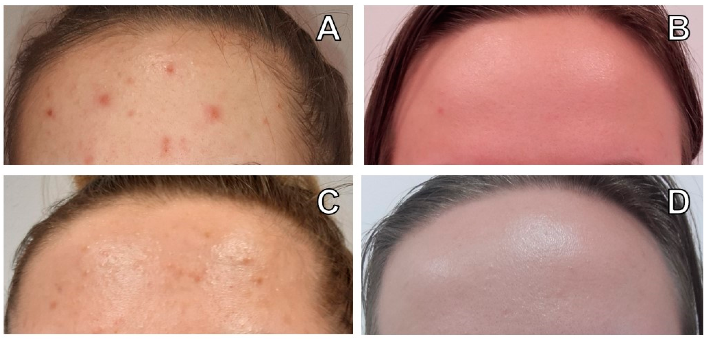 Healthcare 09 00144 g003