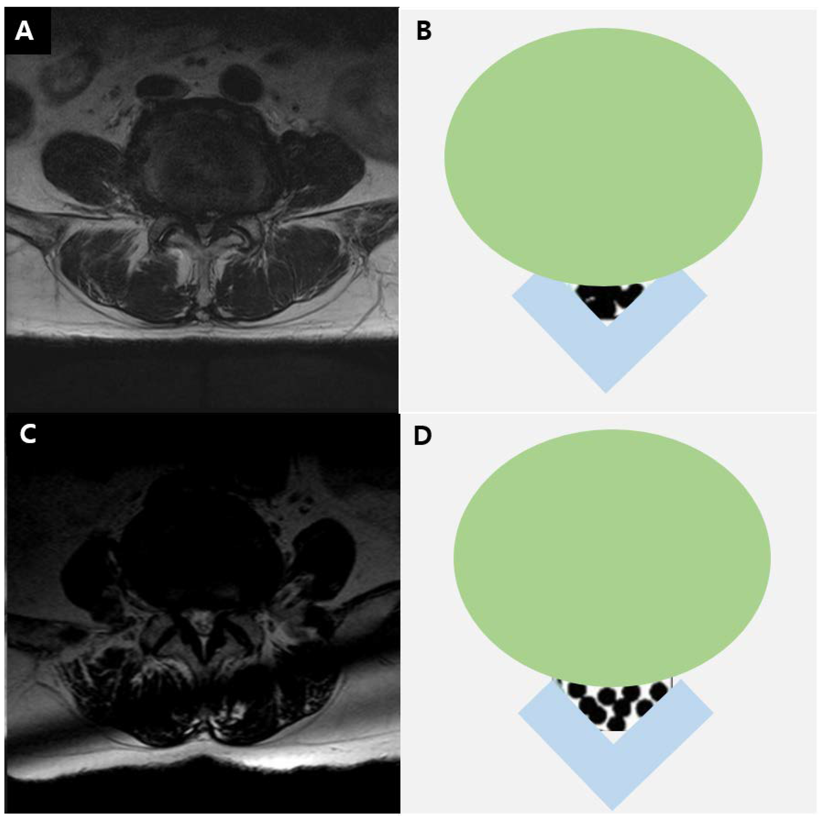 Healthcare 09 00164 g001