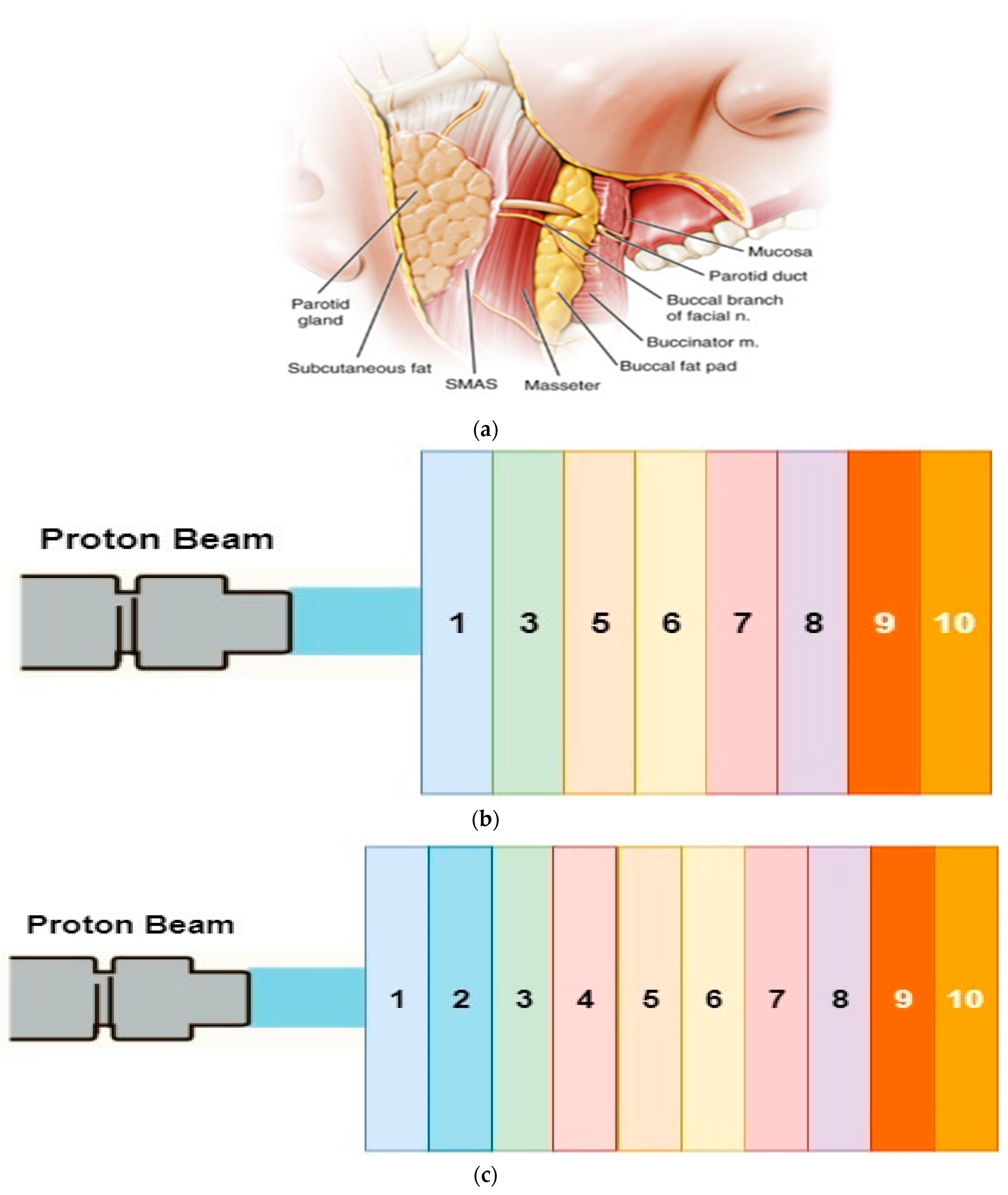 Healthcare 09 00167 g001