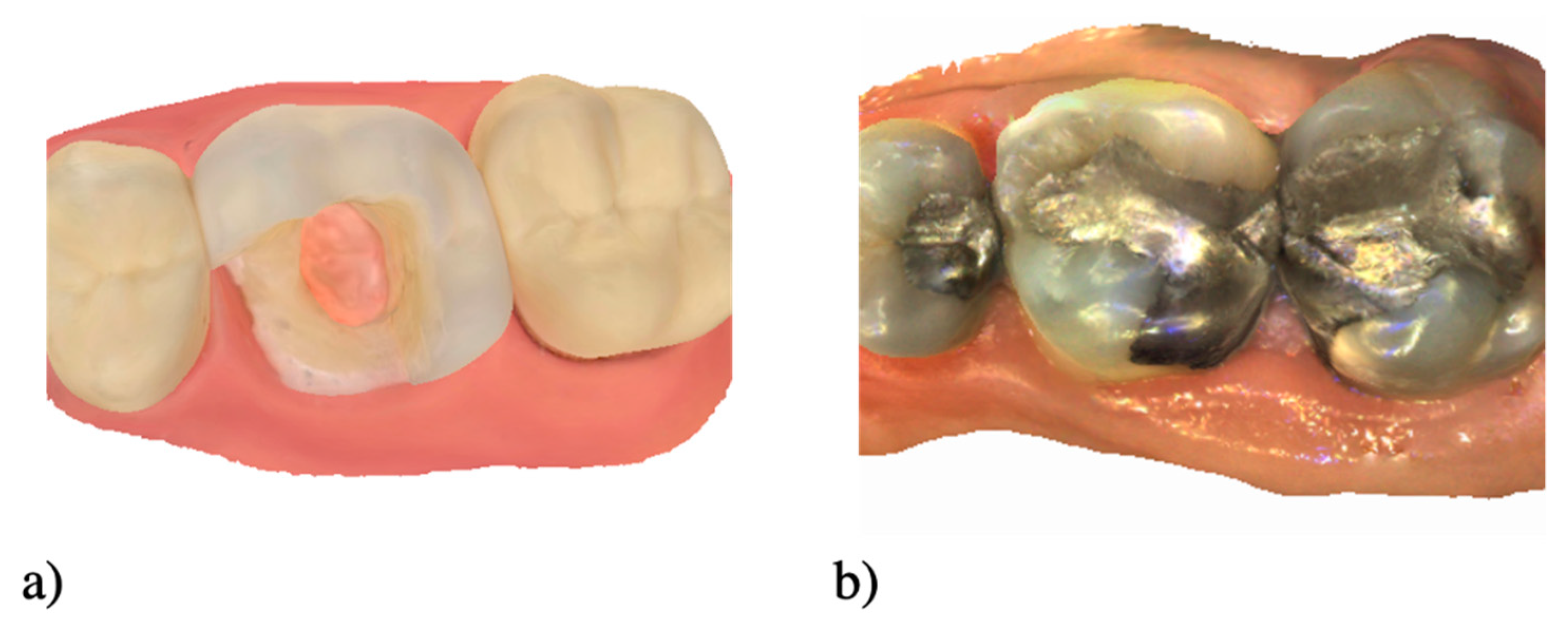 Healthcare 09 00178 g002