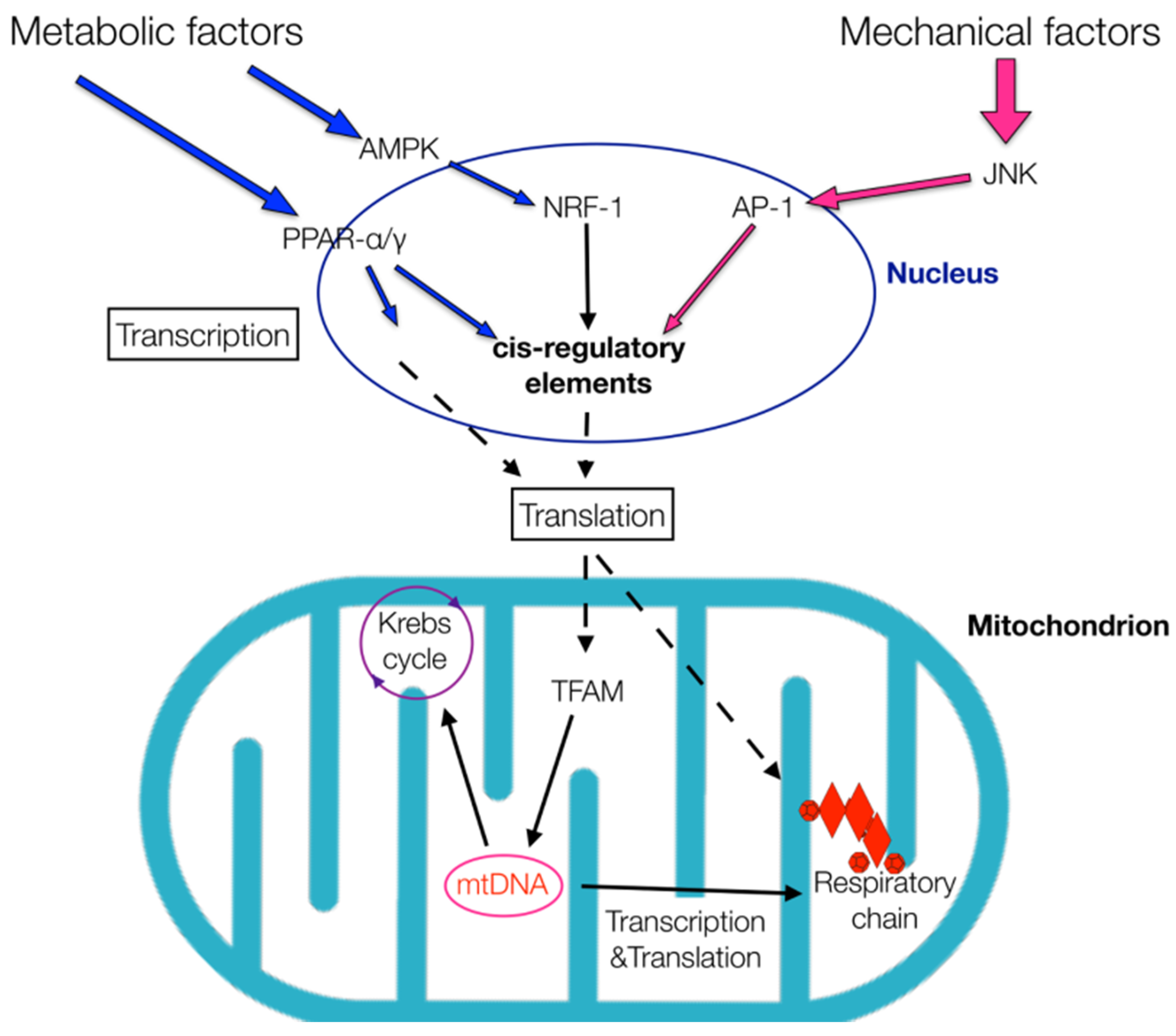 Healthcare 09 00181 g001