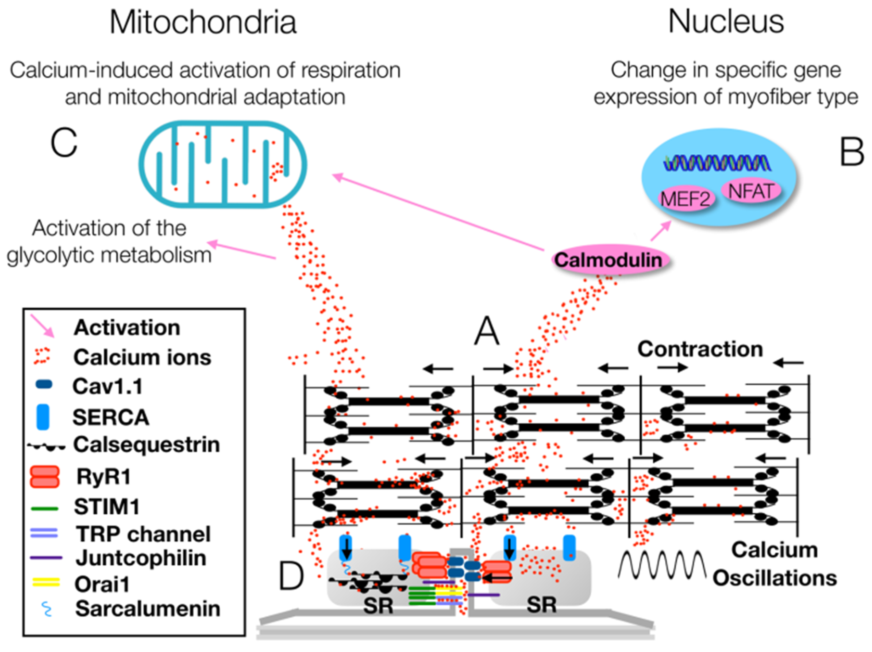 Healthcare 09 00181 g003