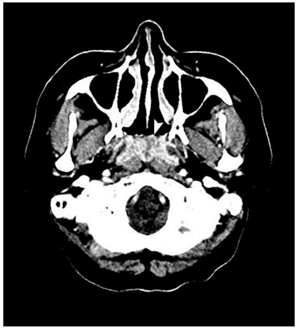 Healthcare 09 00217 g002