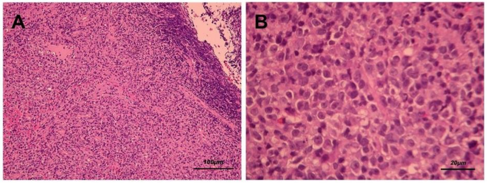 Healthcare 09 00217 g003