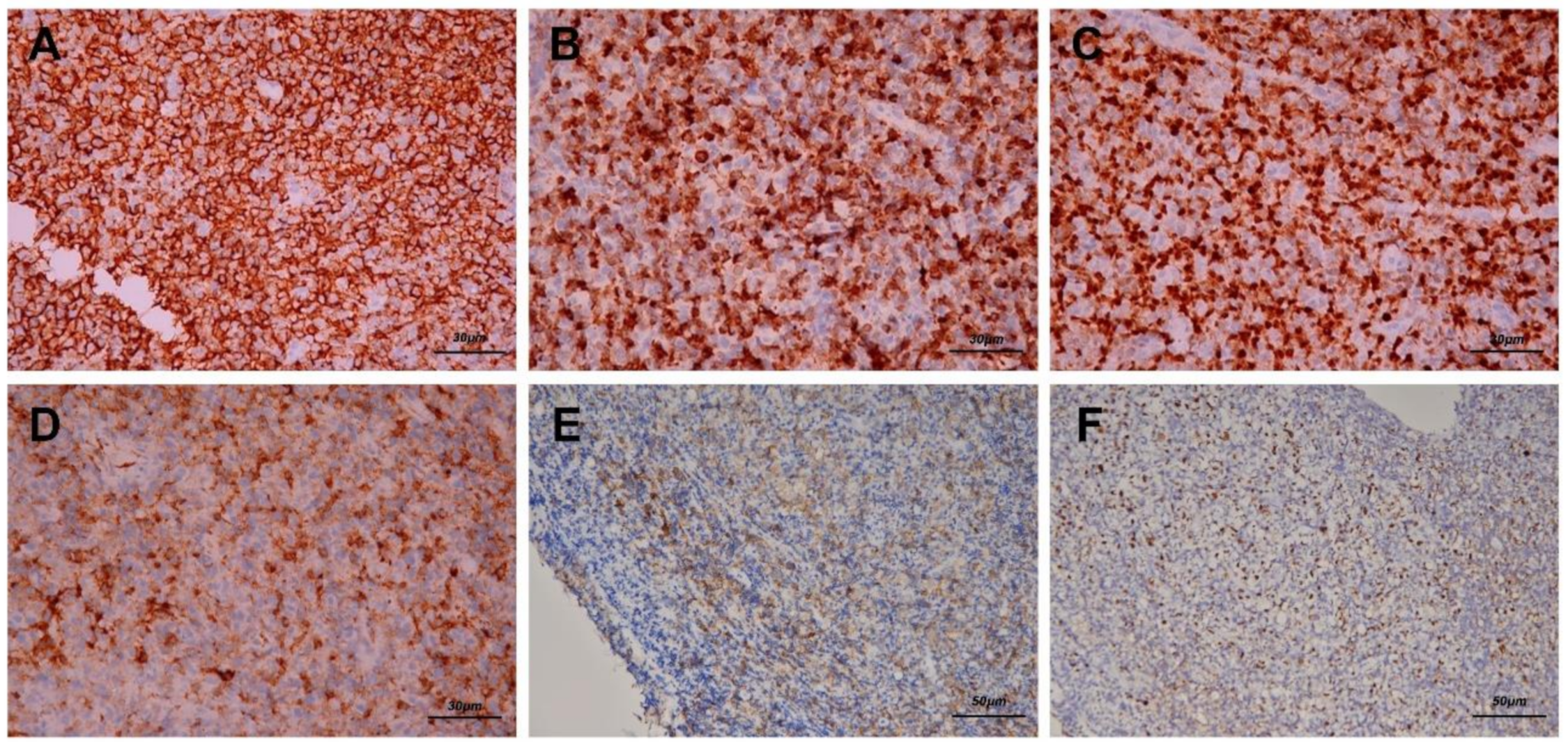 Healthcare 09 00217 g004