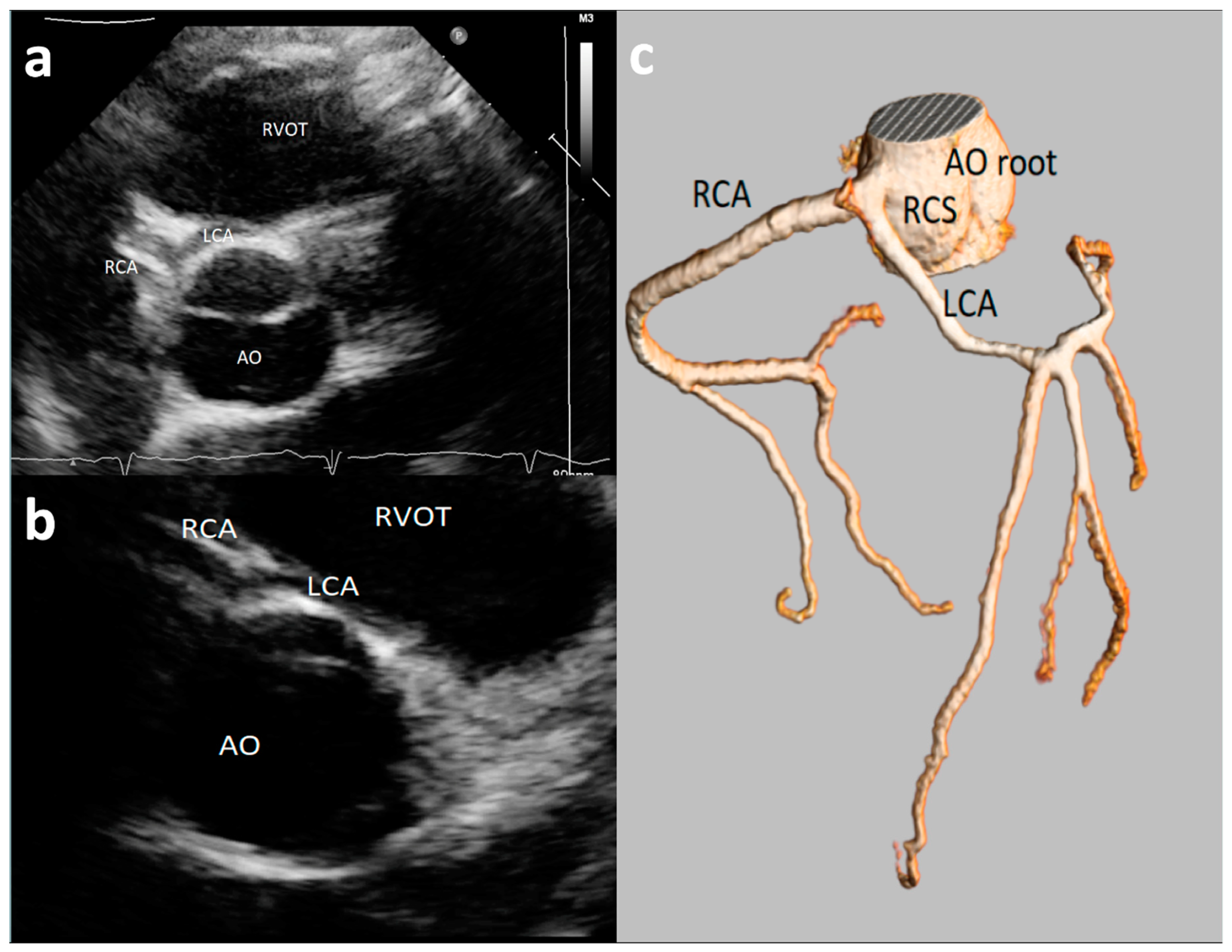 Healthcare 09 00231 g001