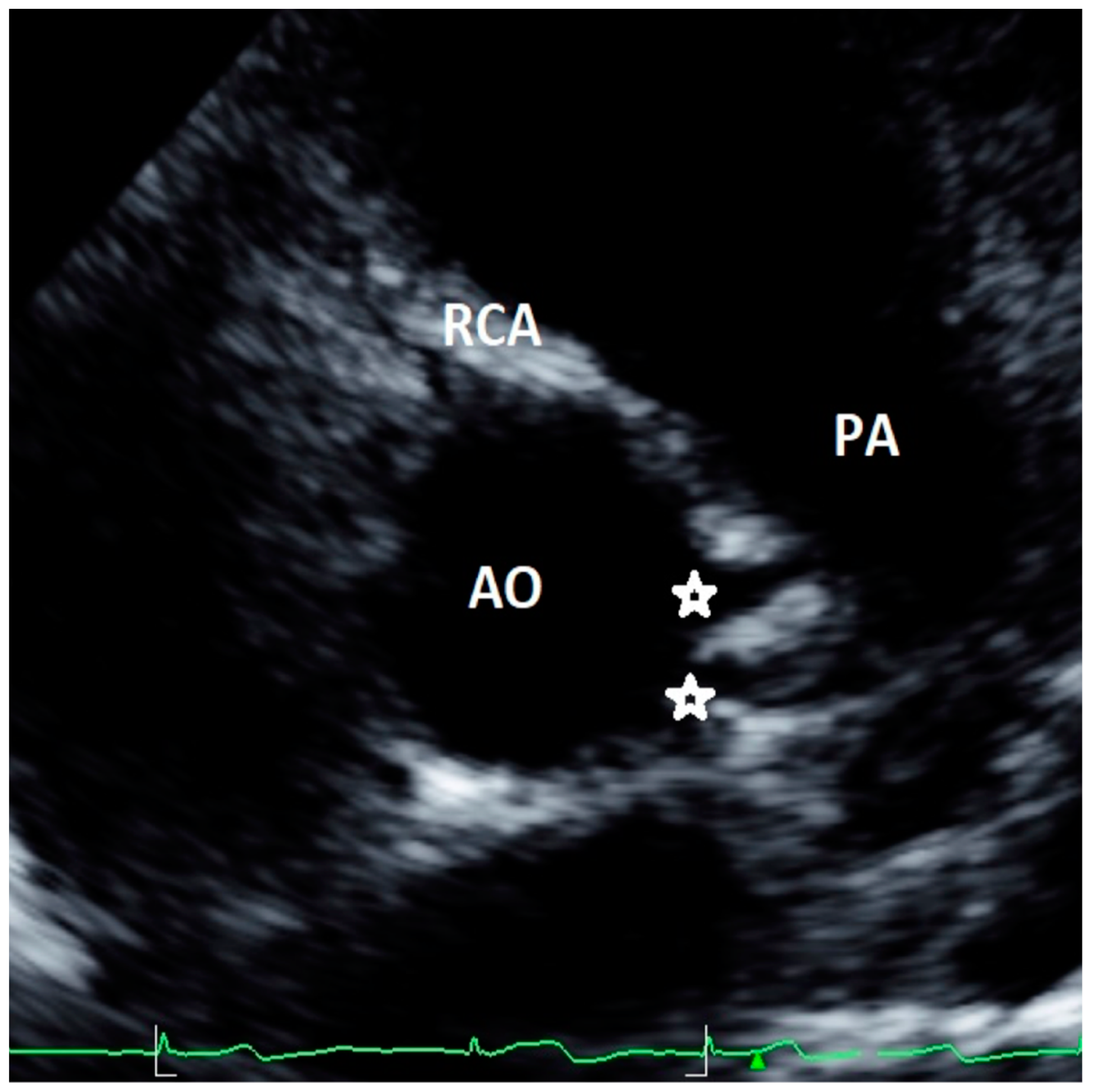 Healthcare 09 00231 g002