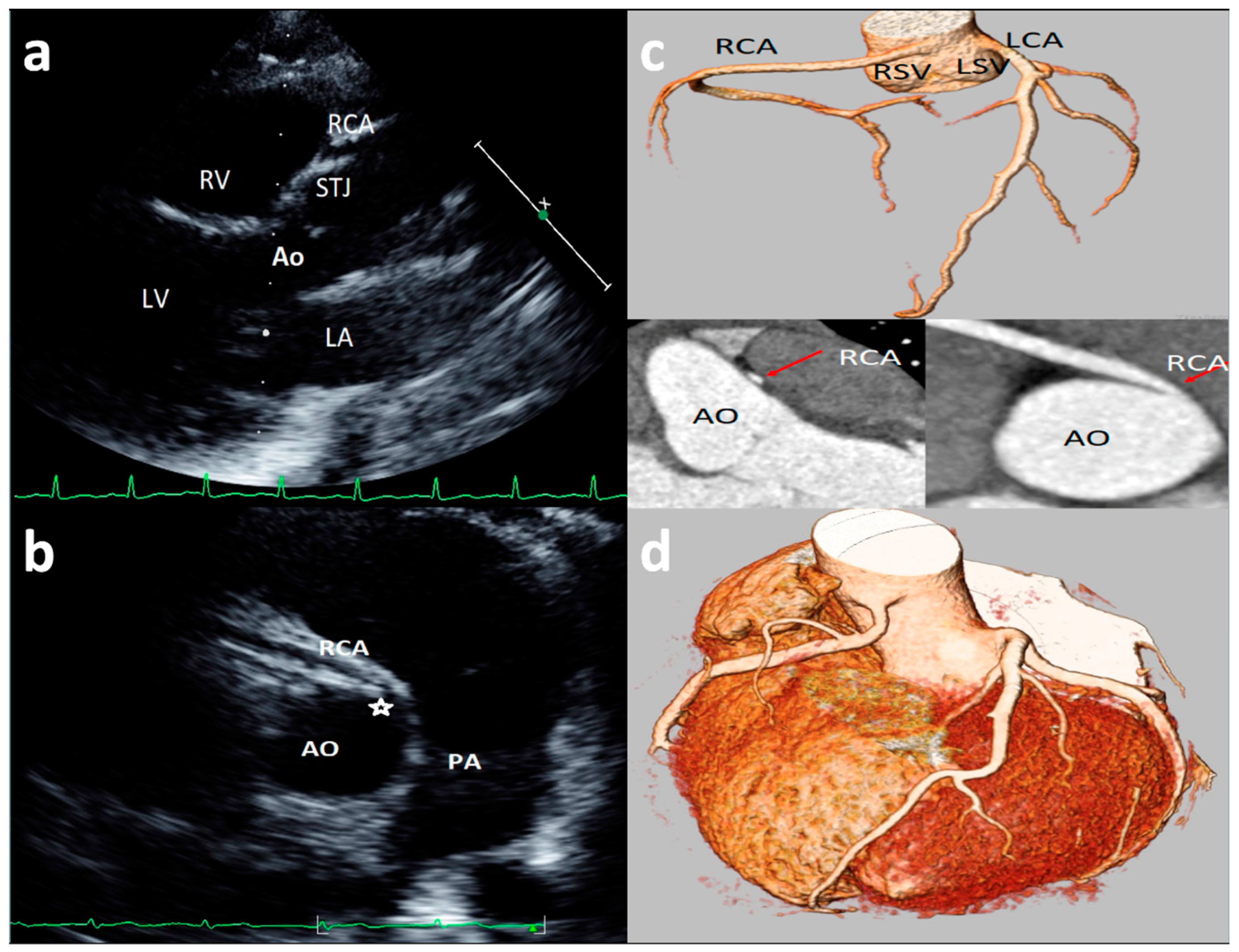 Healthcare 09 00231 g003