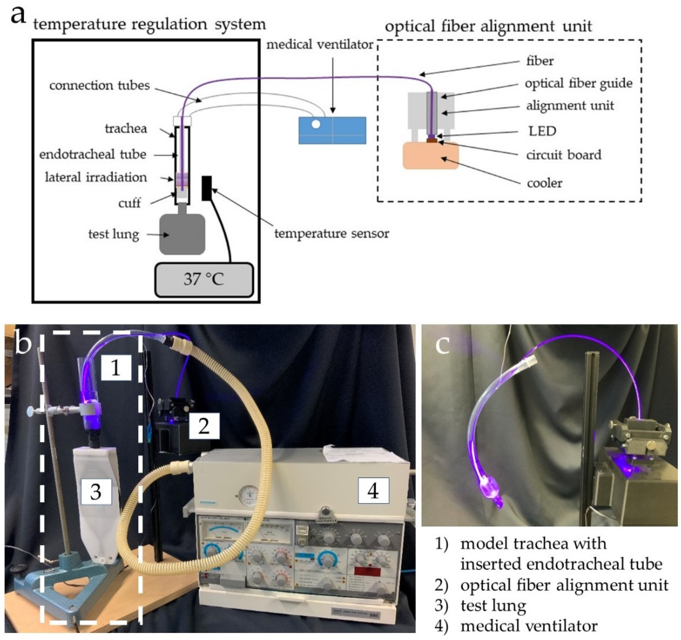 Healthcare 09 00310 g001