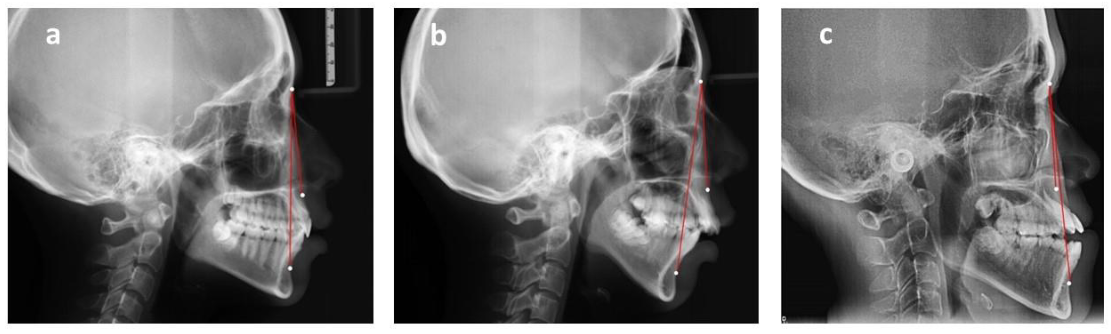 Healthcare 09 00413 g002