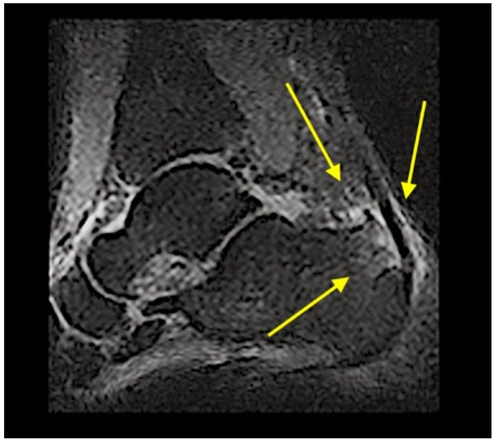 Healthcare 09 00508 g003