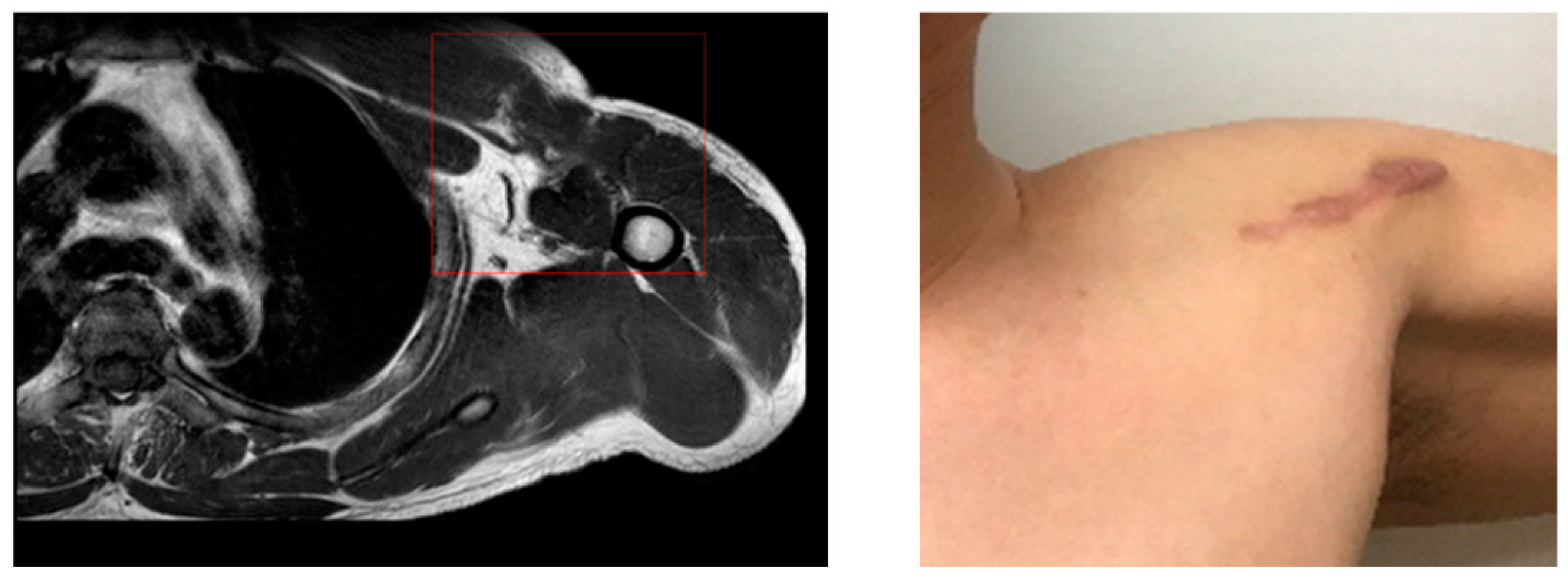 Healthcare 09 00527 g001