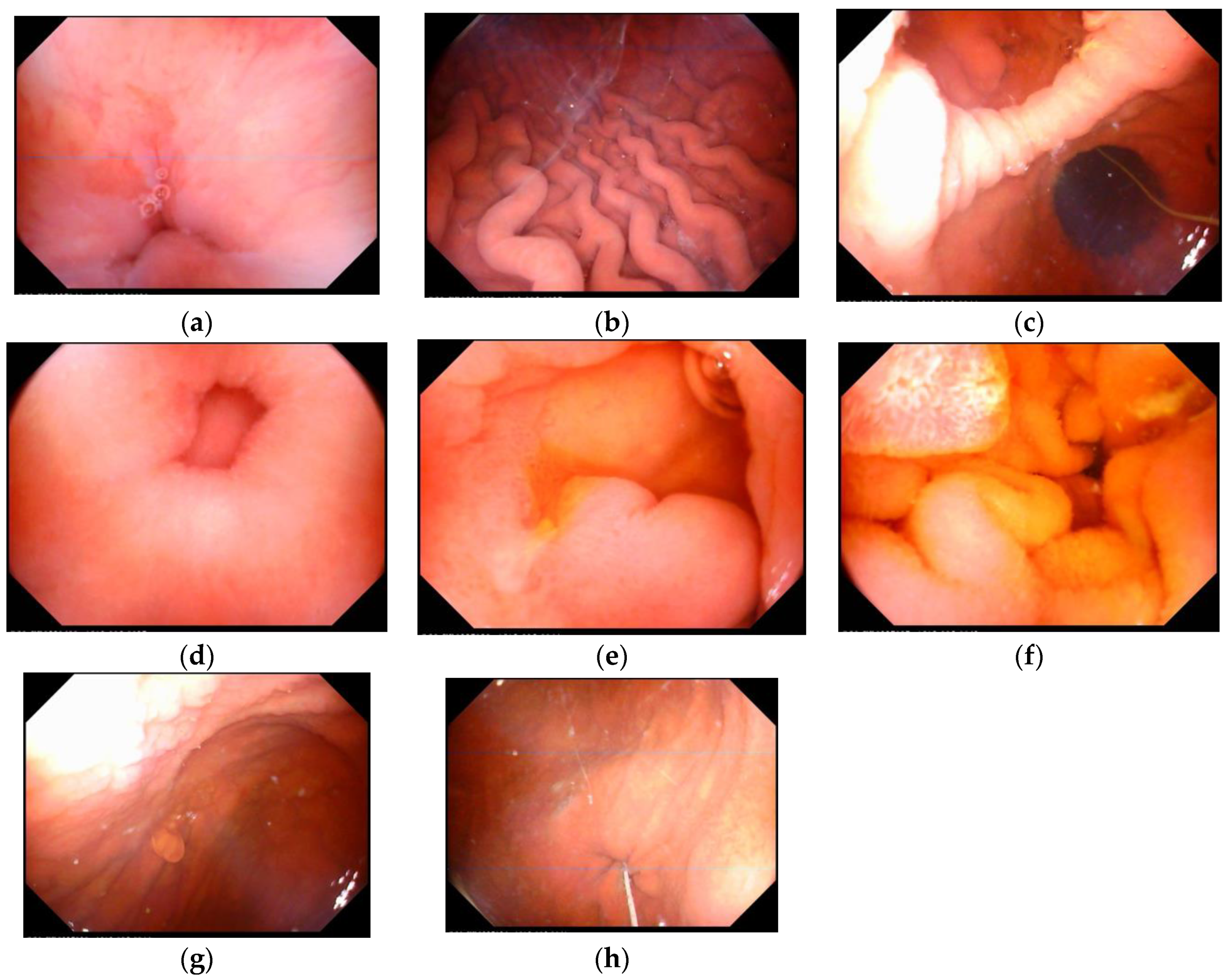 Healthcare 09 00577 g002