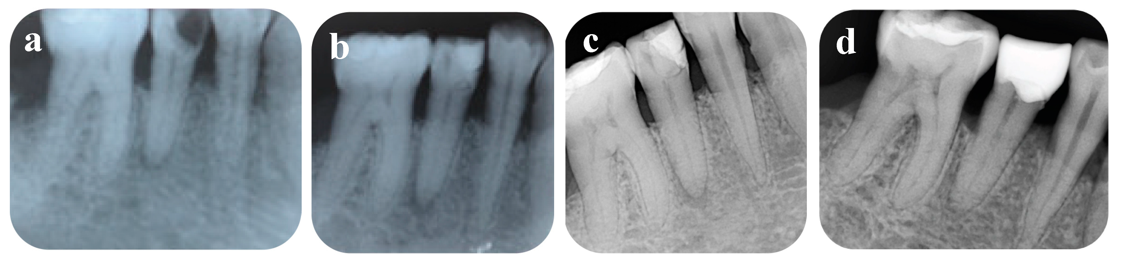 Healthcare 09 00720 g001