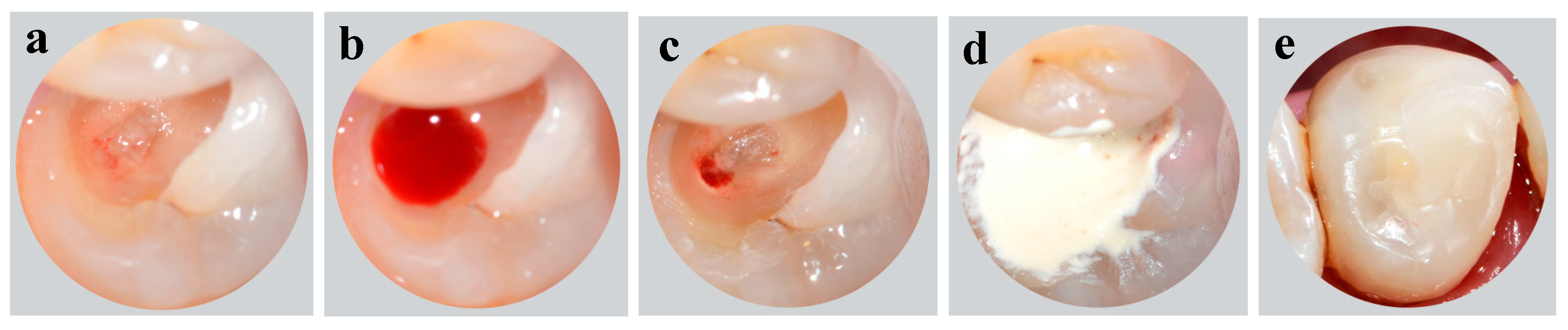 Healthcare 09 00720 g002