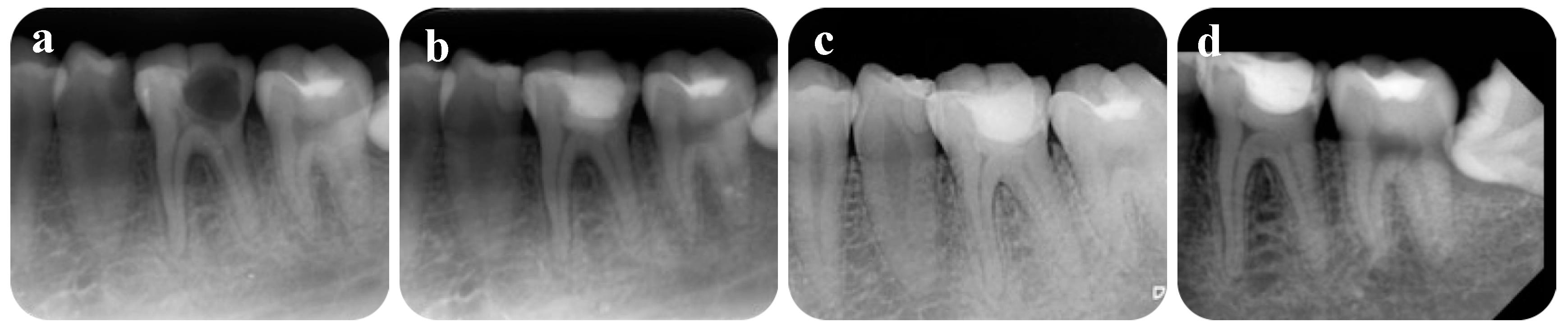 Healthcare 09 00720 g003