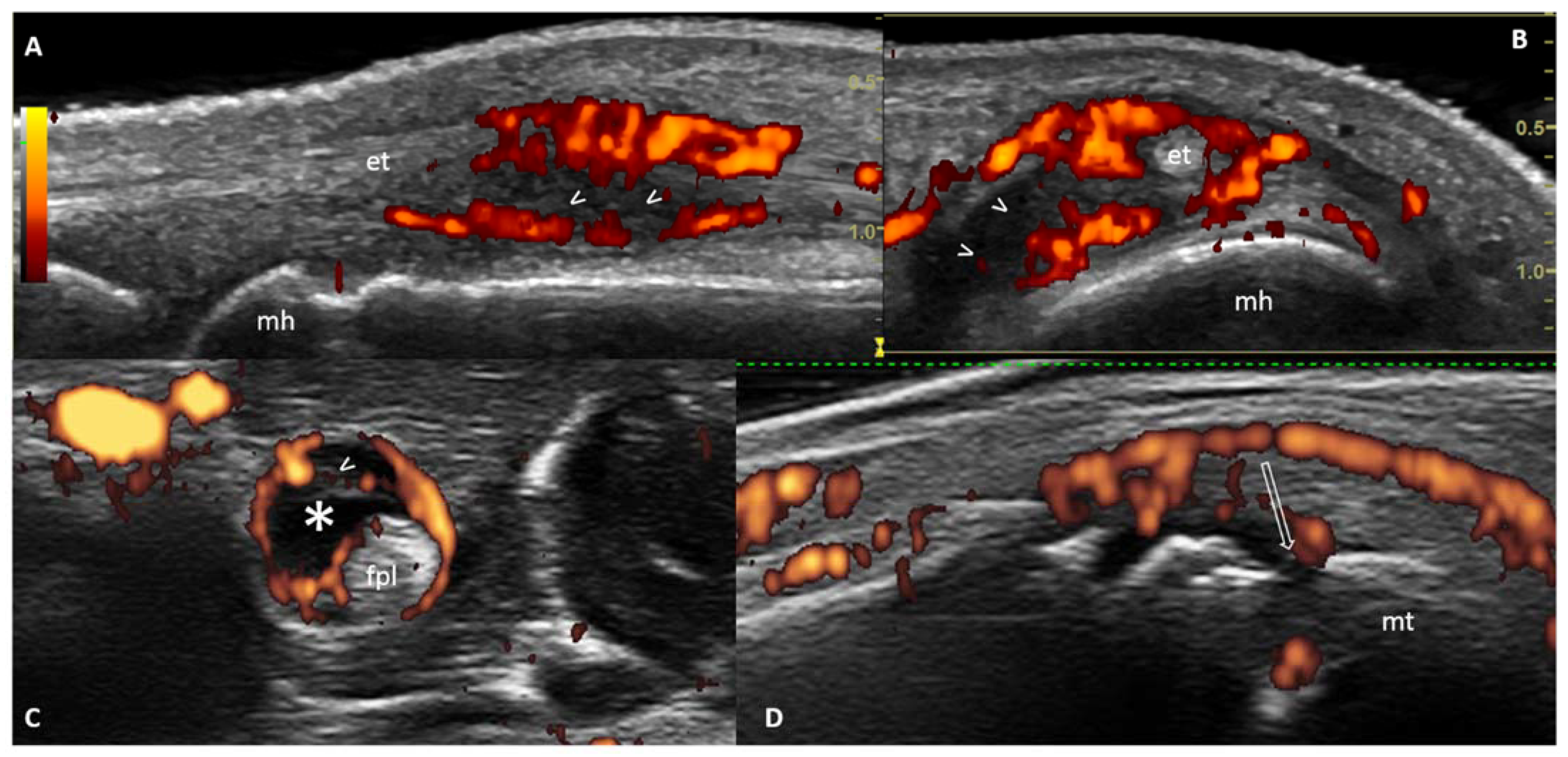 Healthcare 09 00752 g002