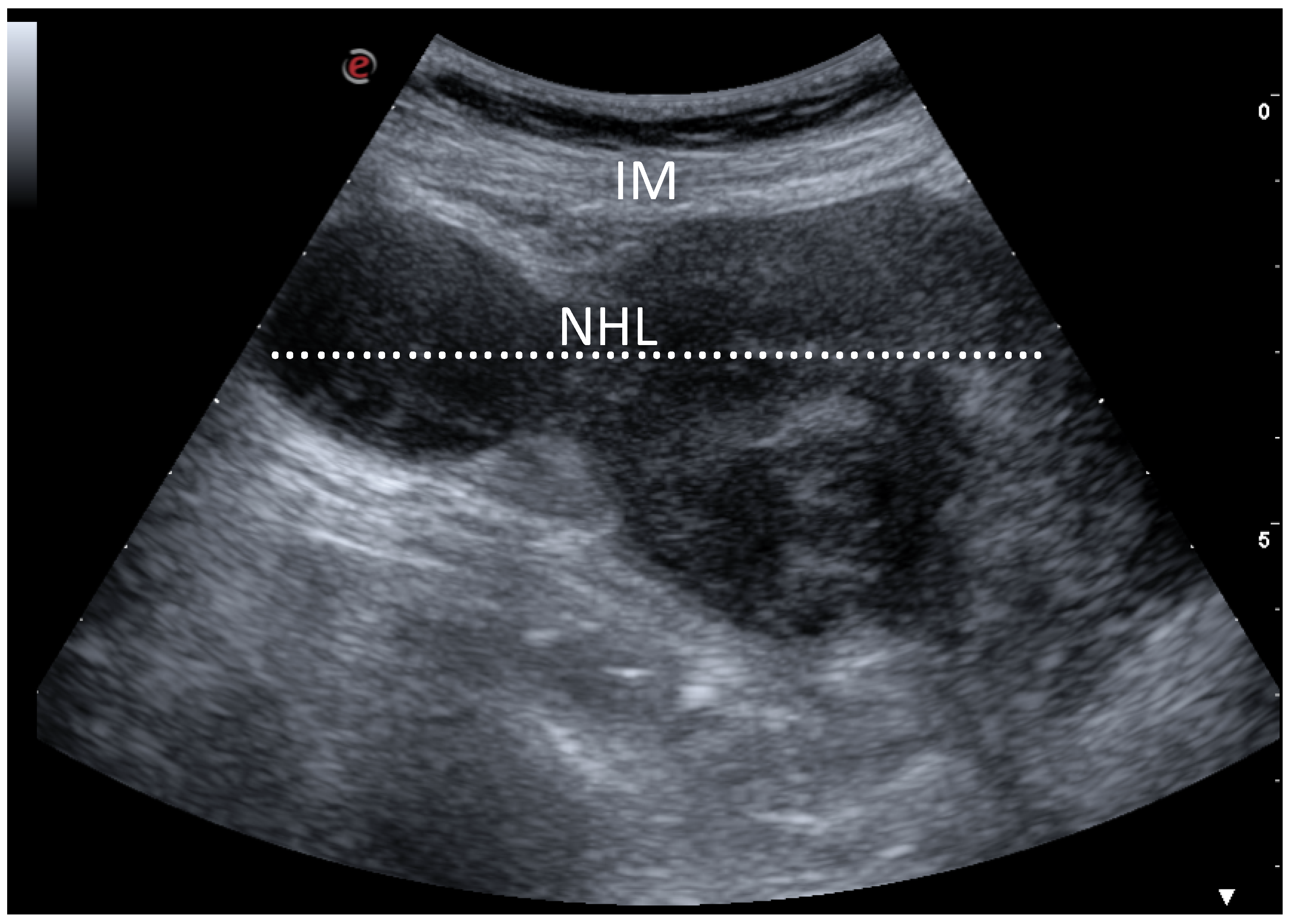 Healthcare 09 00770 g002