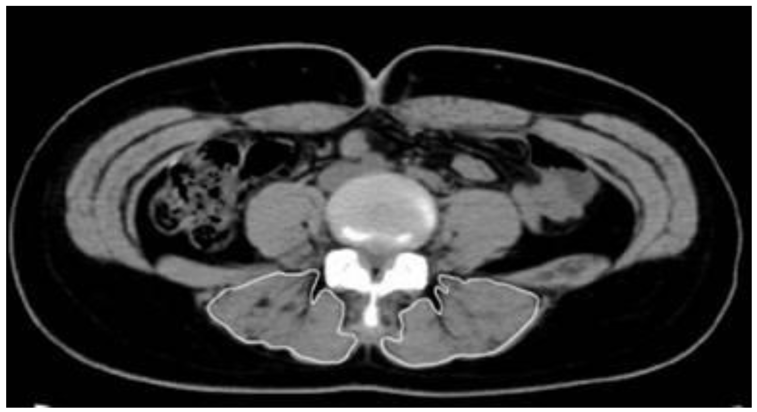 Healthcare 09 00809 g001