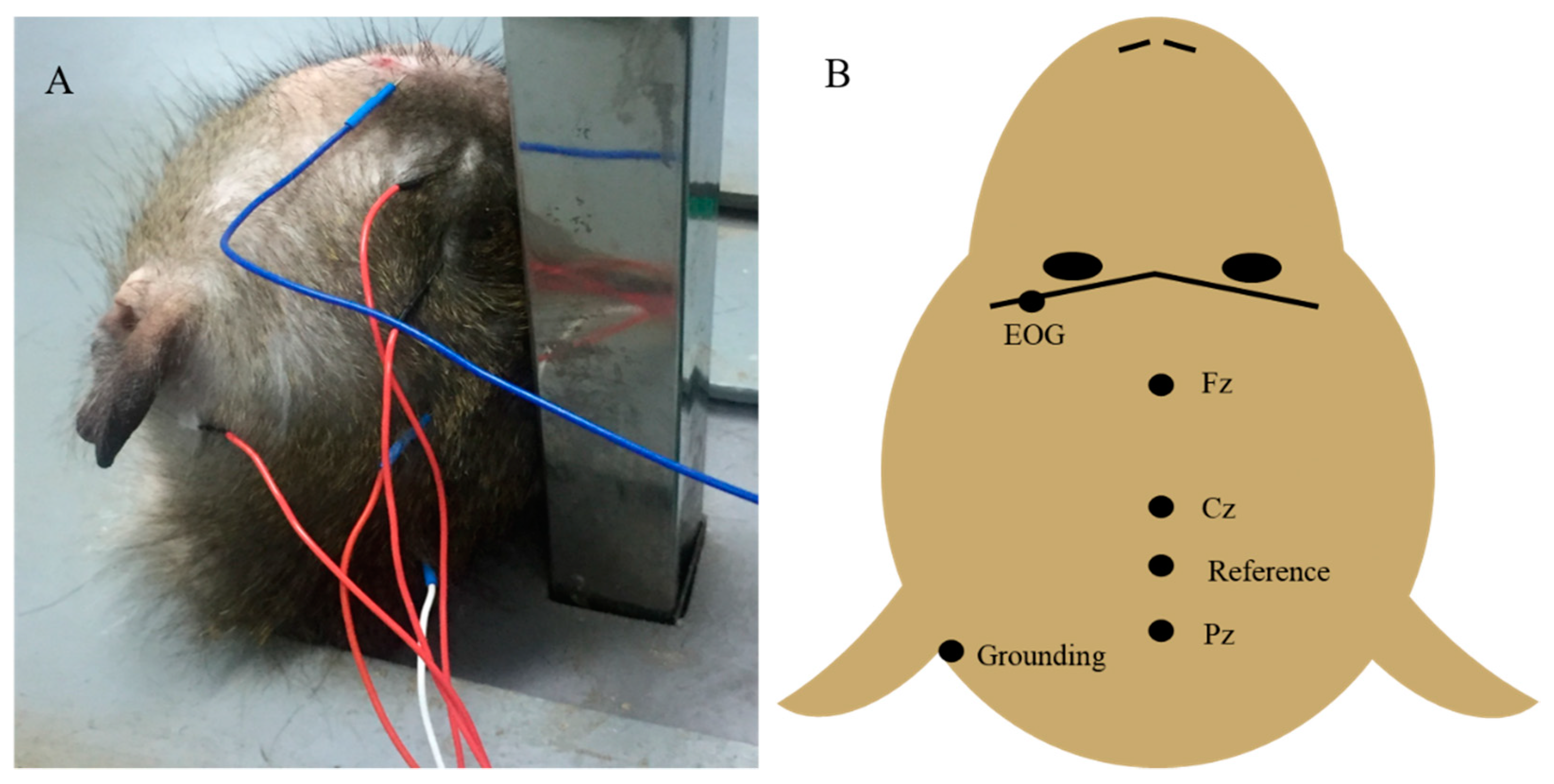 Healthcare 09 00840 g004