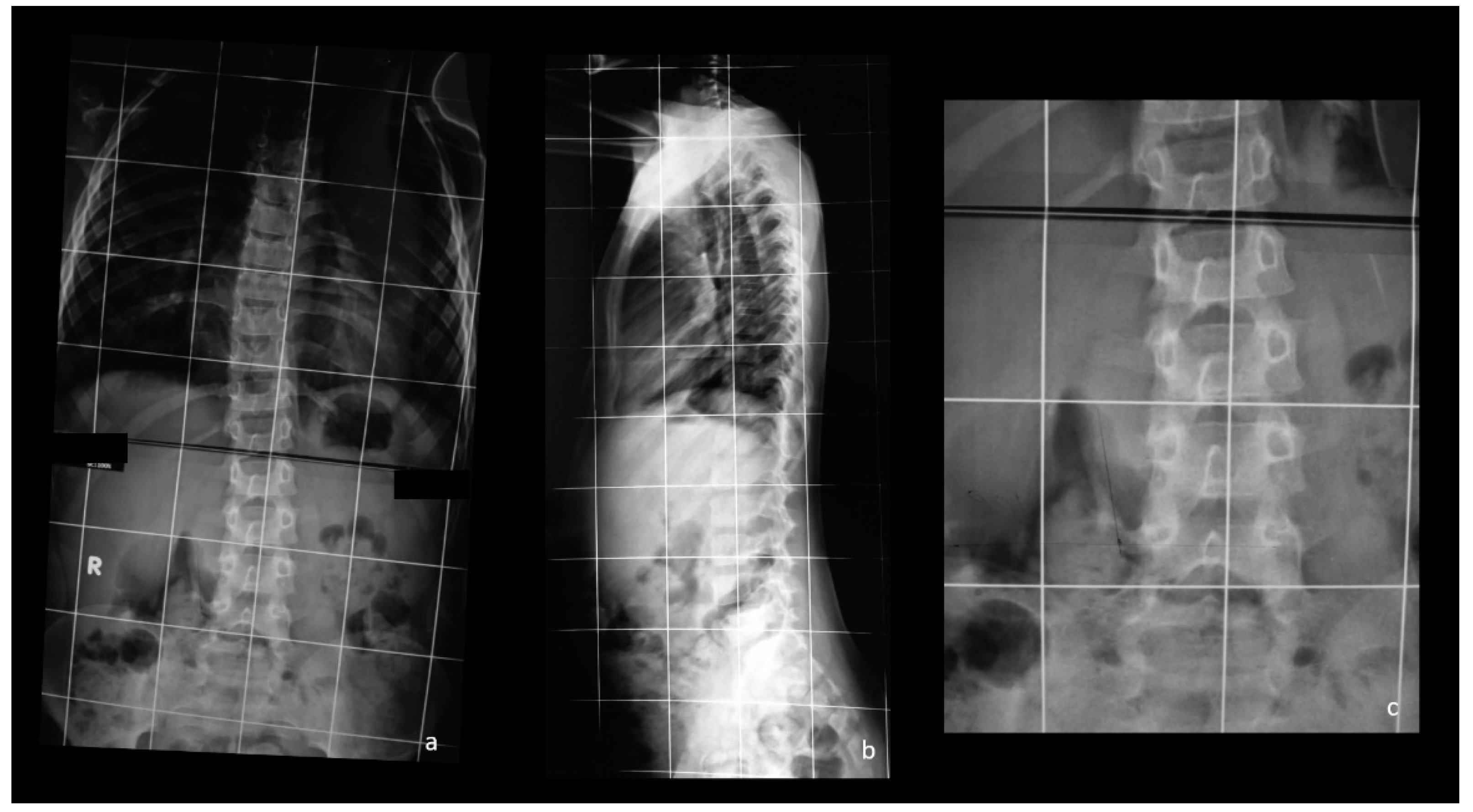 Healthcare 09 00881 g003