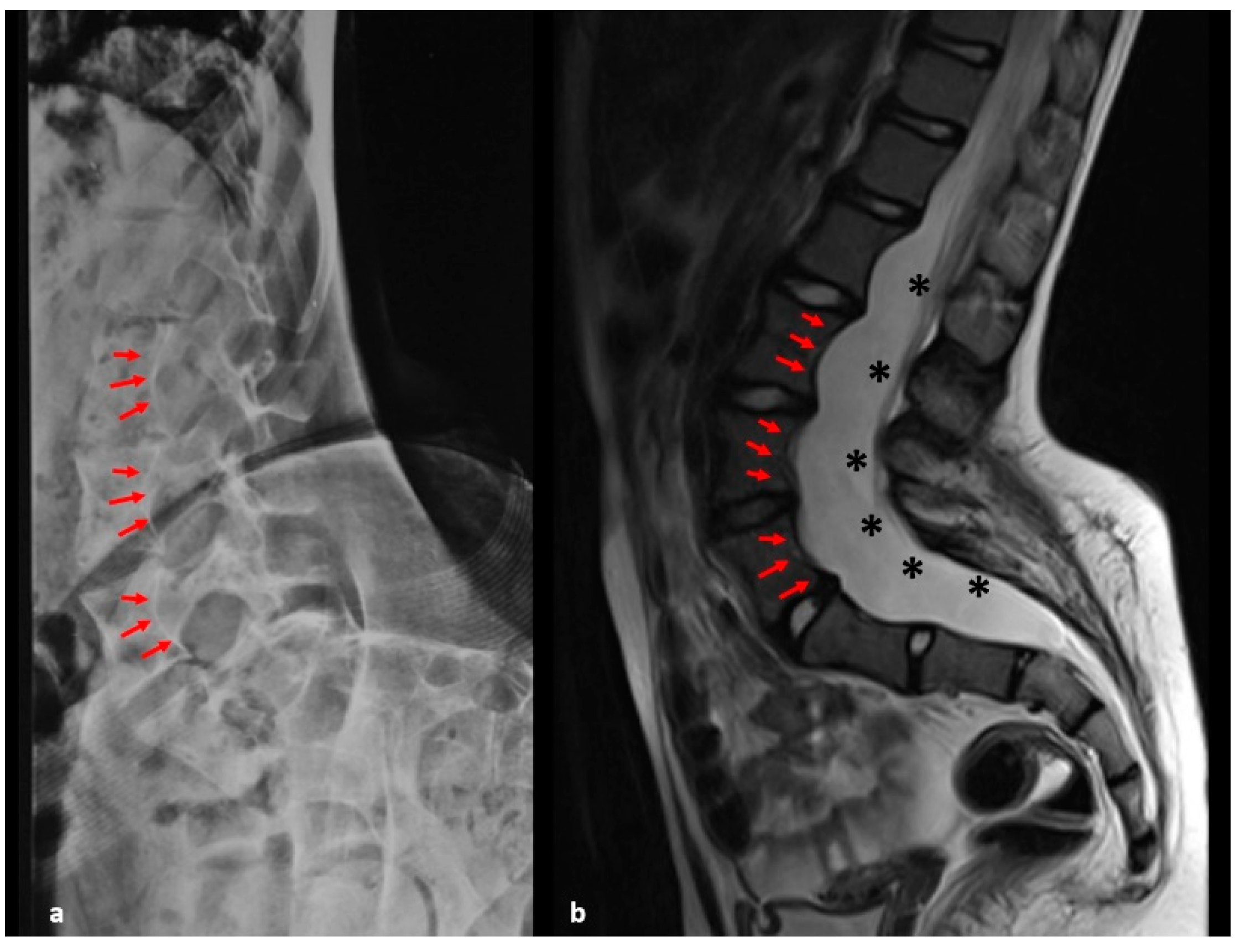 Healthcare 09 00881 g004