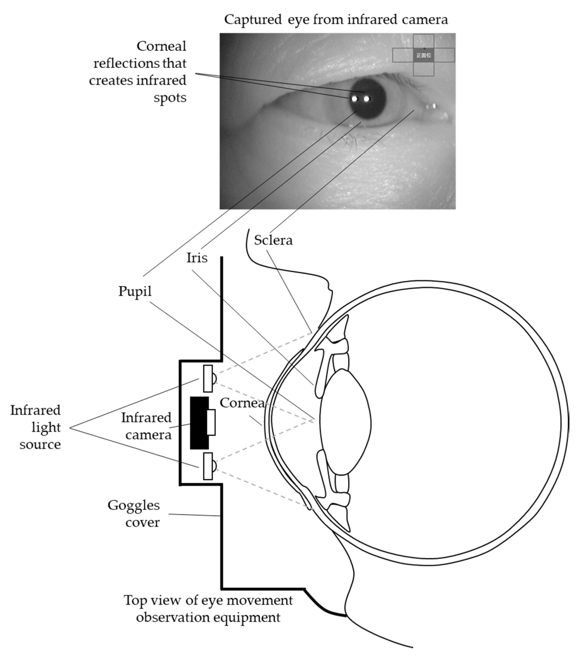 Healthcare 09 00885 g002