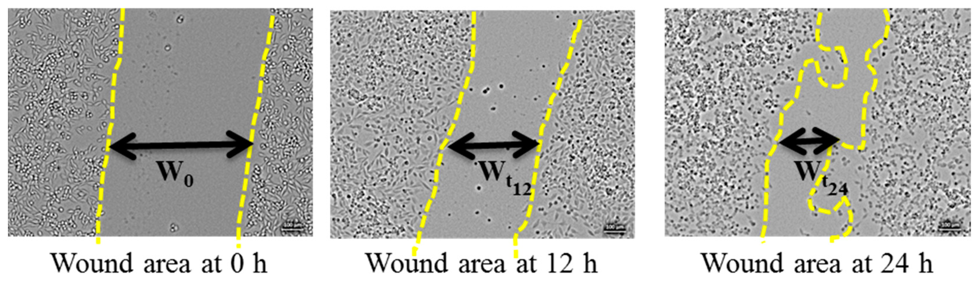 Healthcare 09 00911 g001