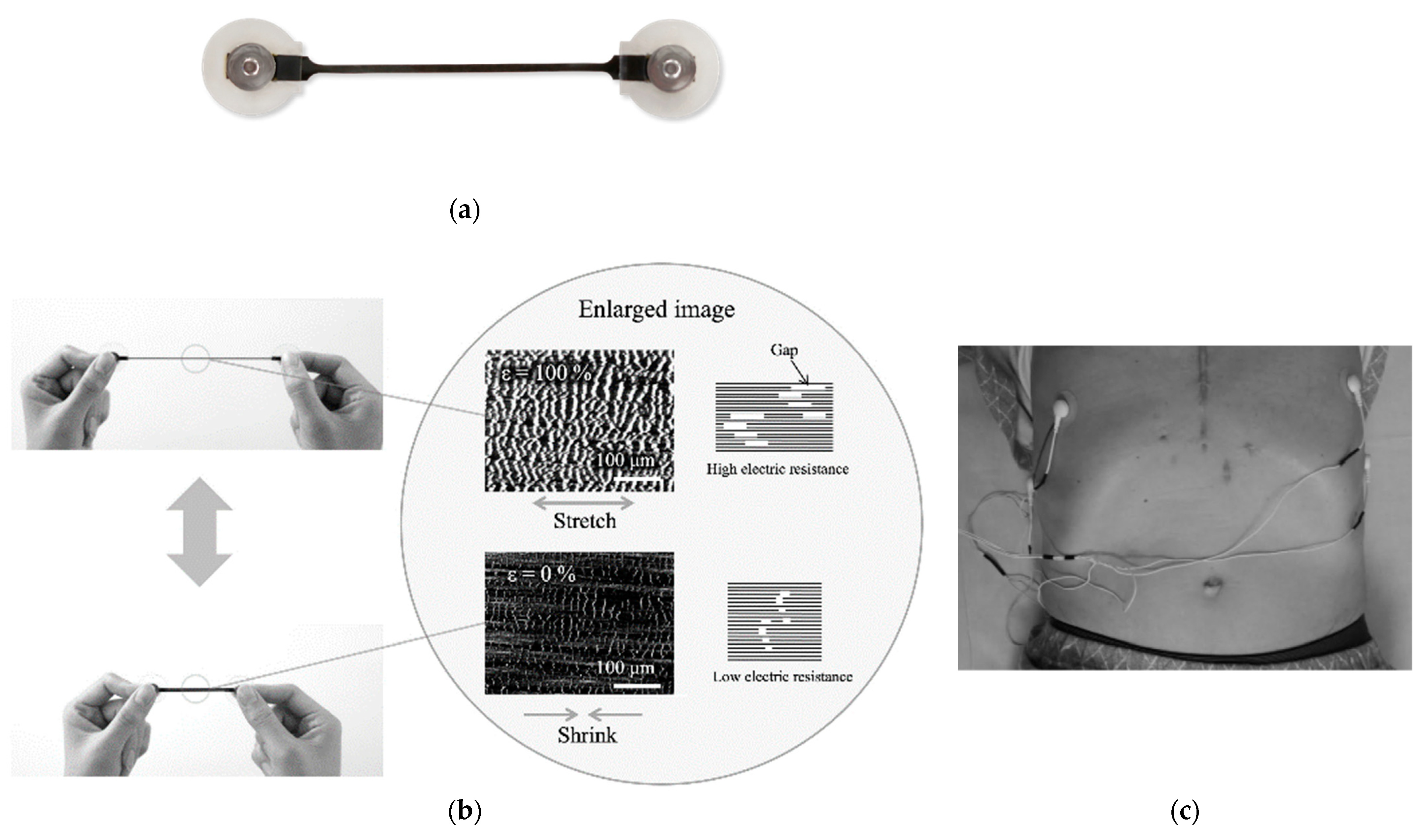 Healthcare 09 00981 g001